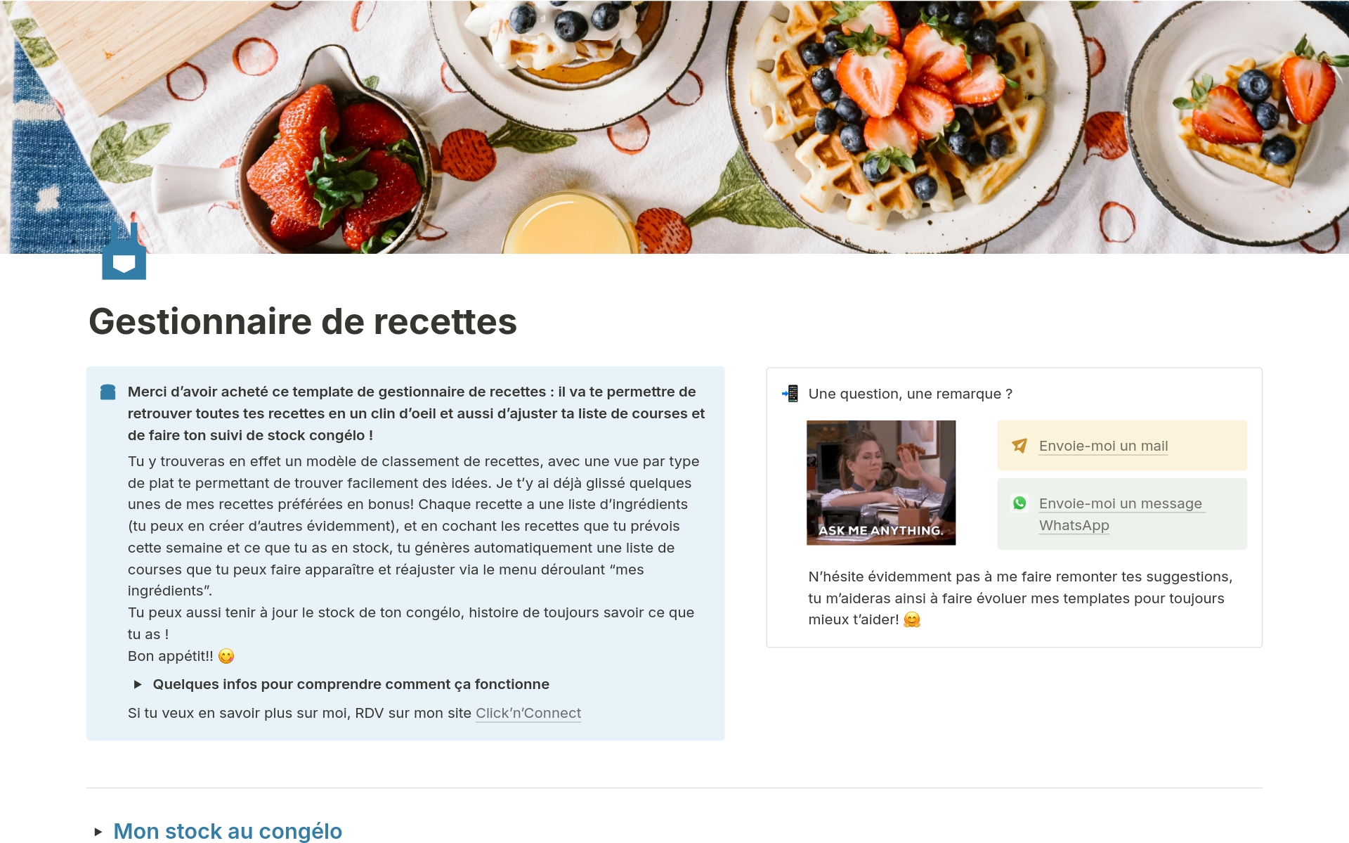 A template preview for Gestionnaire de recettes
