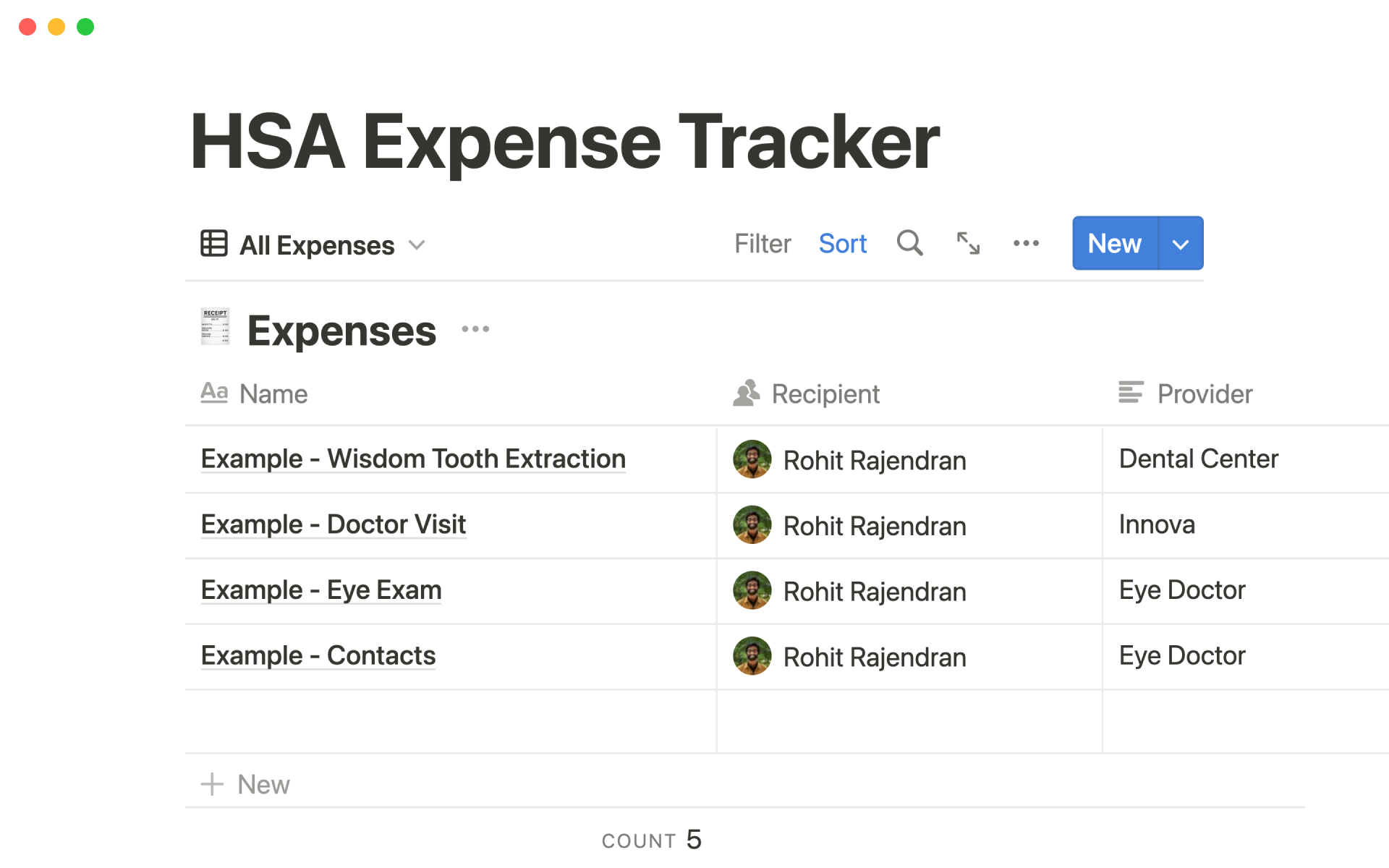 HSA expense tracker Notion Template