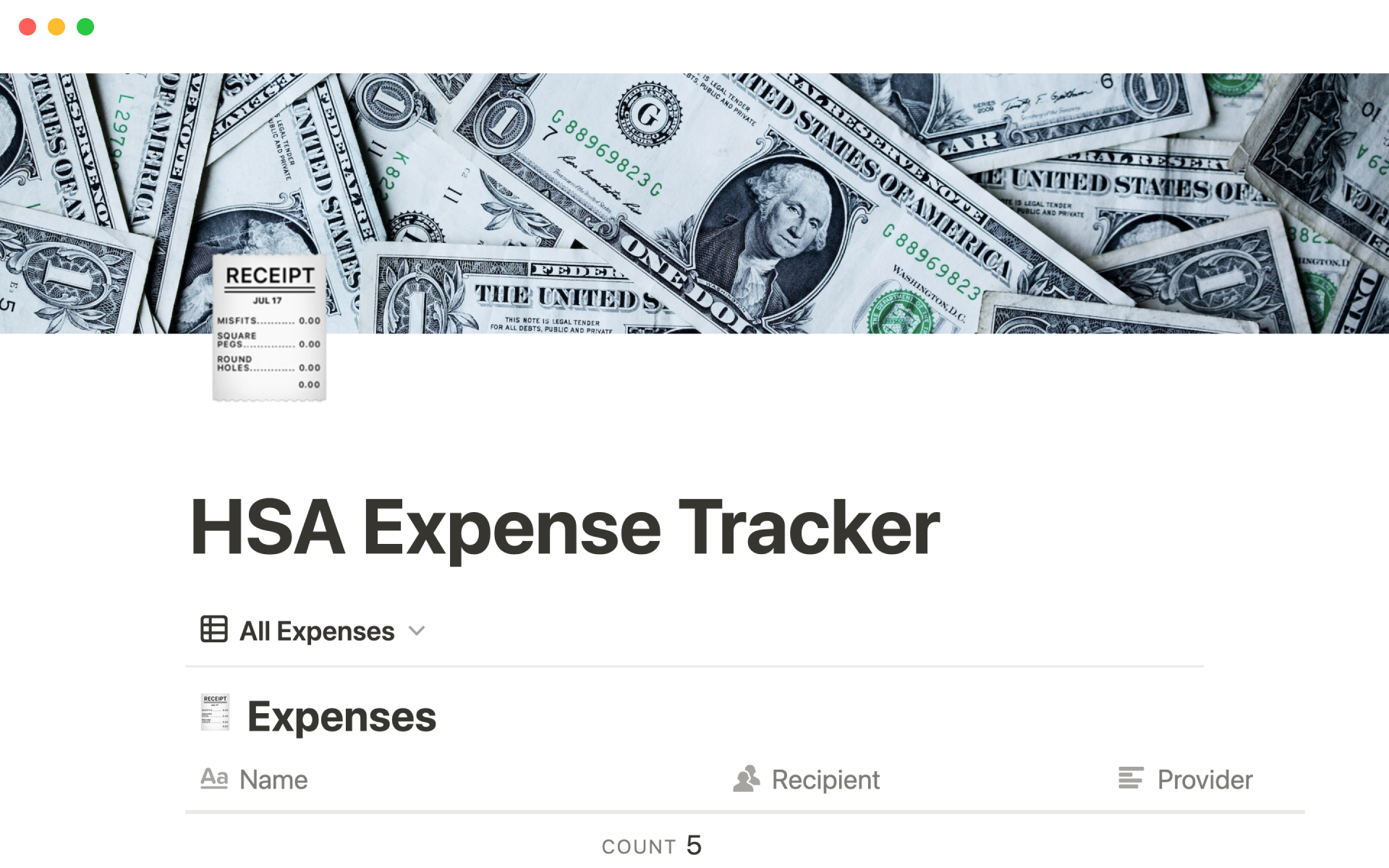Vista previa de plantilla para HSA expense tracker