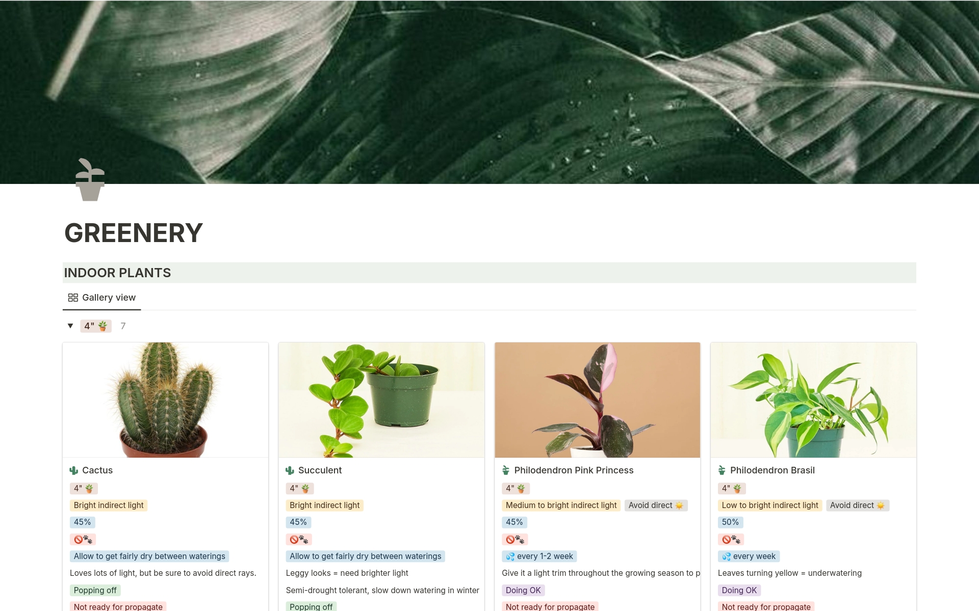 A template preview for Indoor Plants Inventory