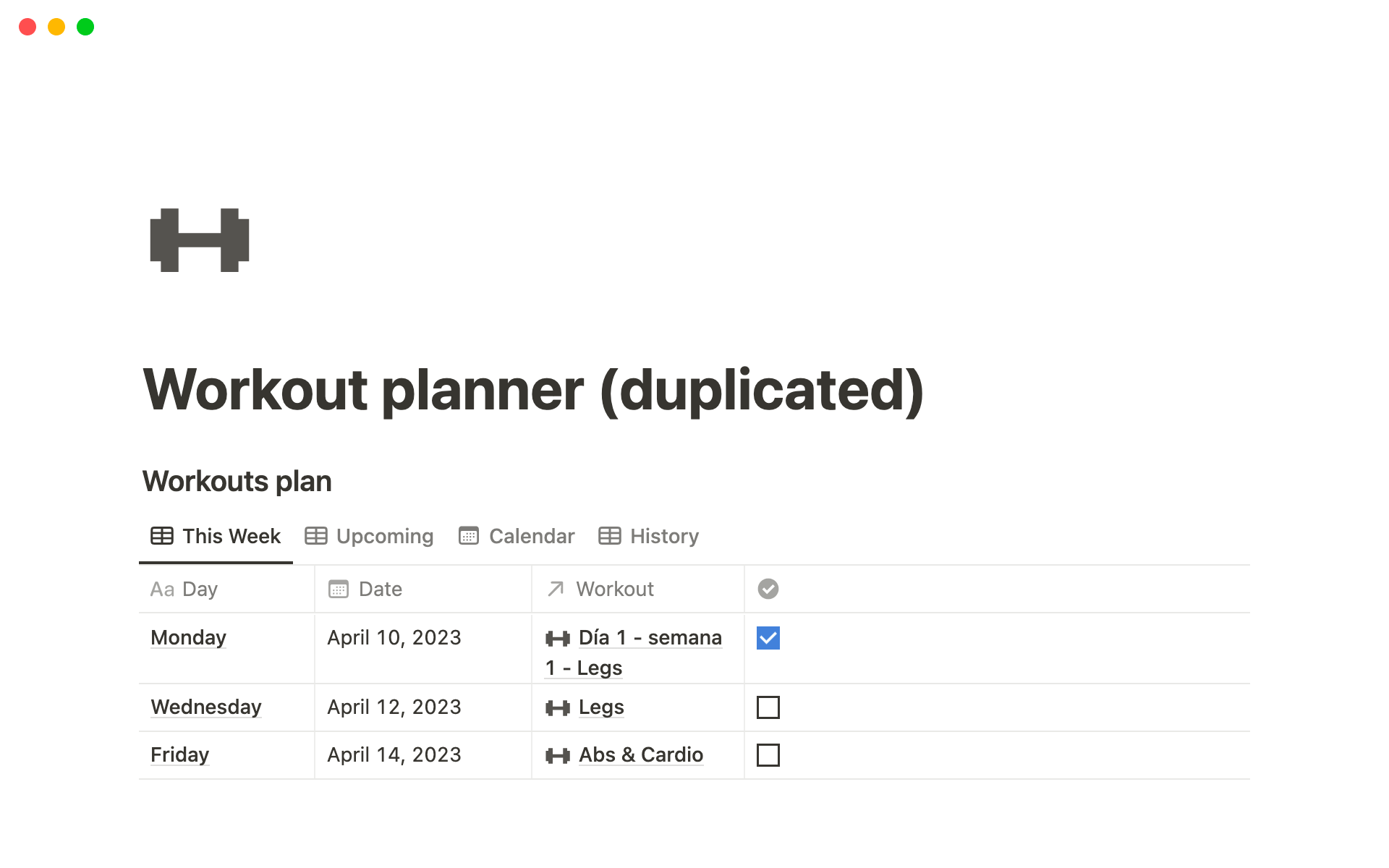 A template preview for Workouts planner
