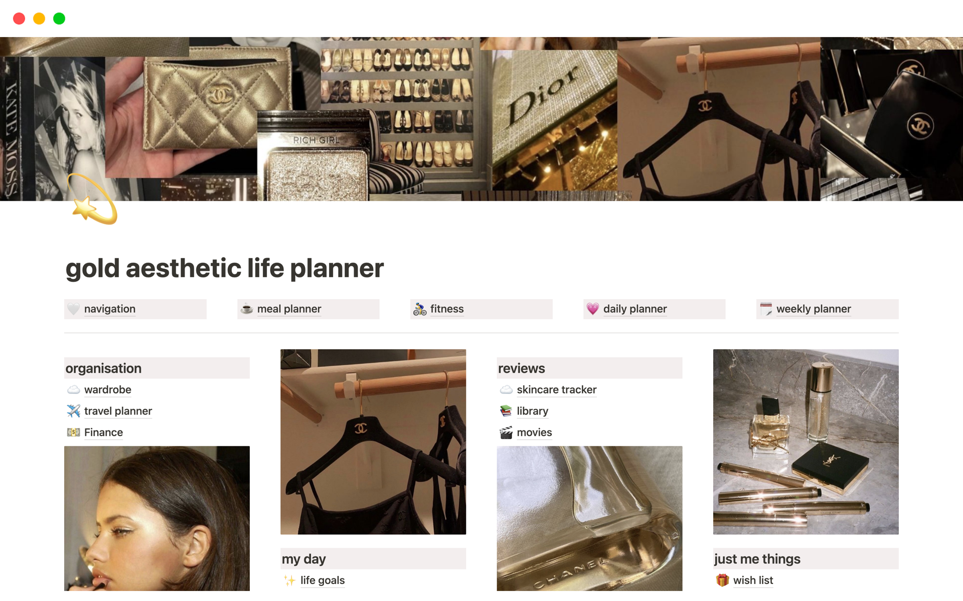 A template preview for gold aesthetic life planner