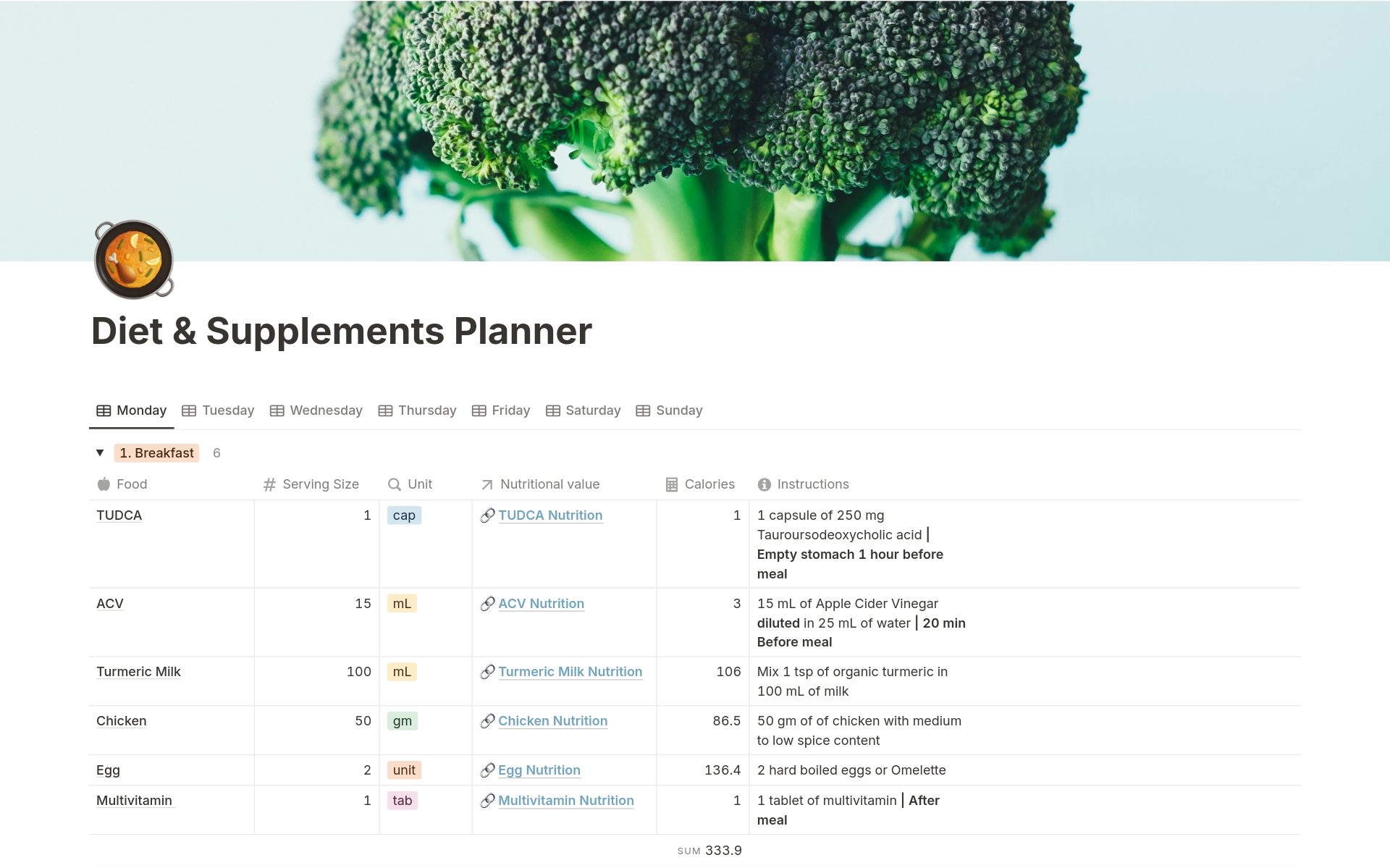 A template preview for Diet & Supplements Planner