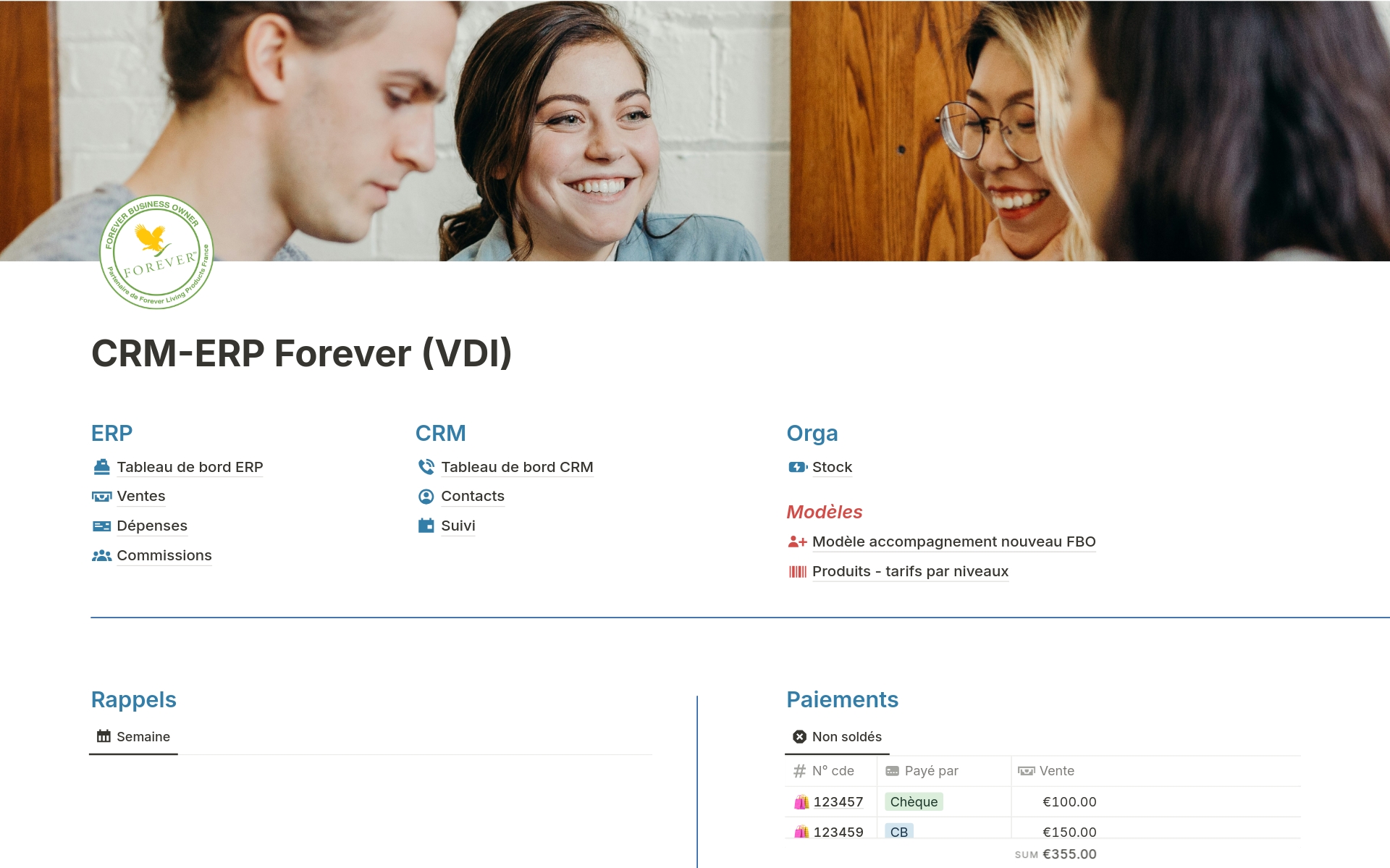 A template preview for CRM-ERP Forever (VDI)