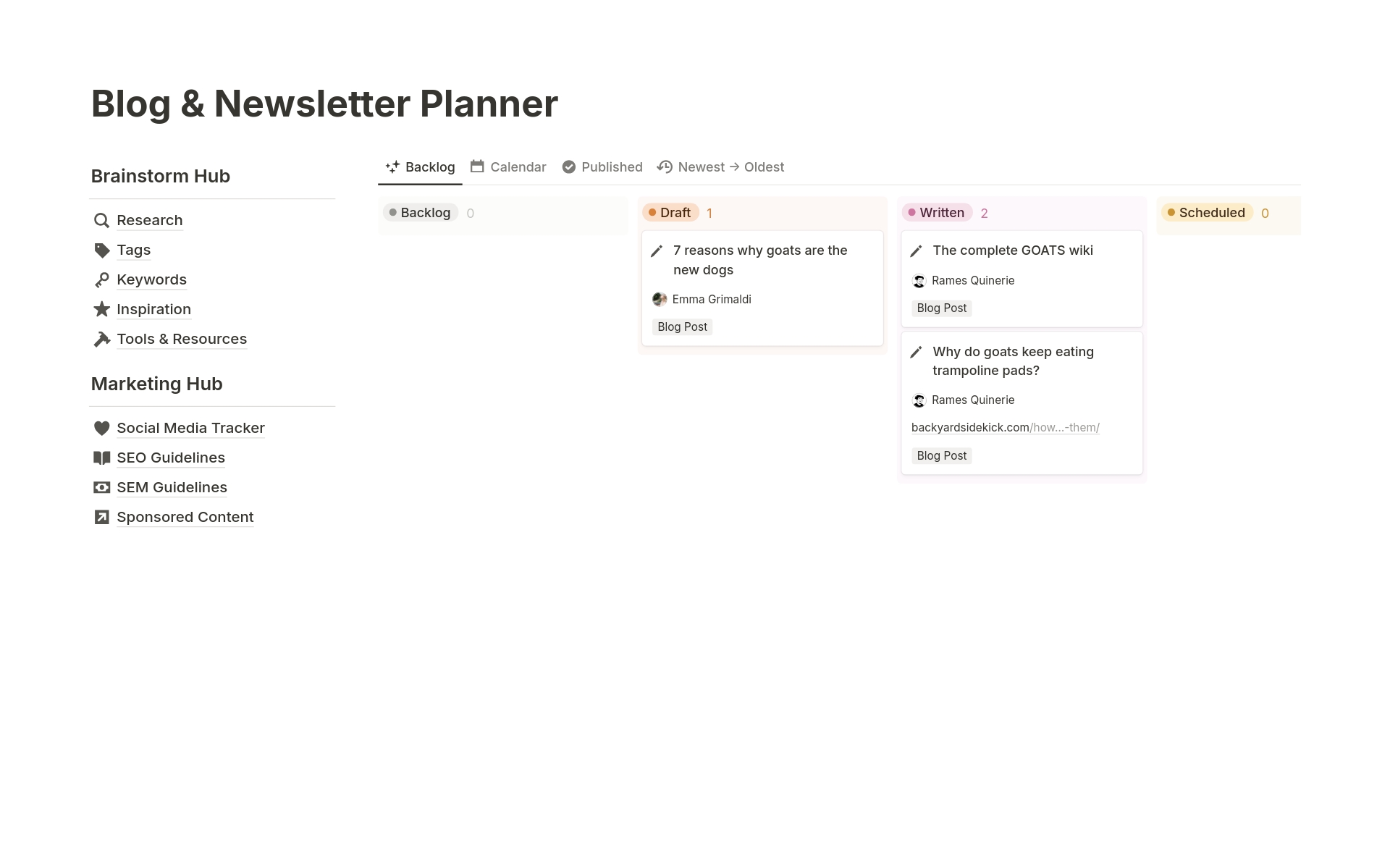 A template preview for Blog / Newsletter Planner
