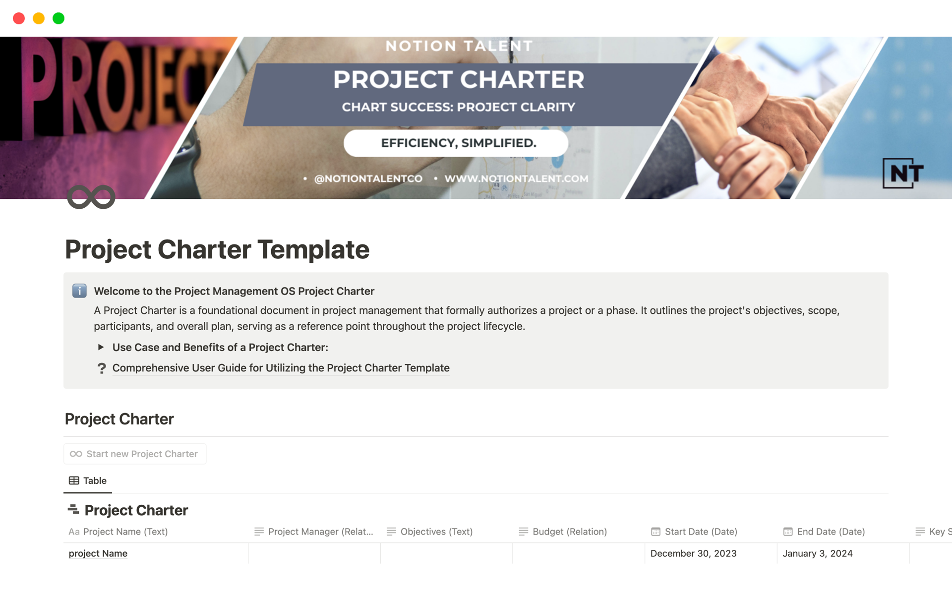 A template preview for Project Charter