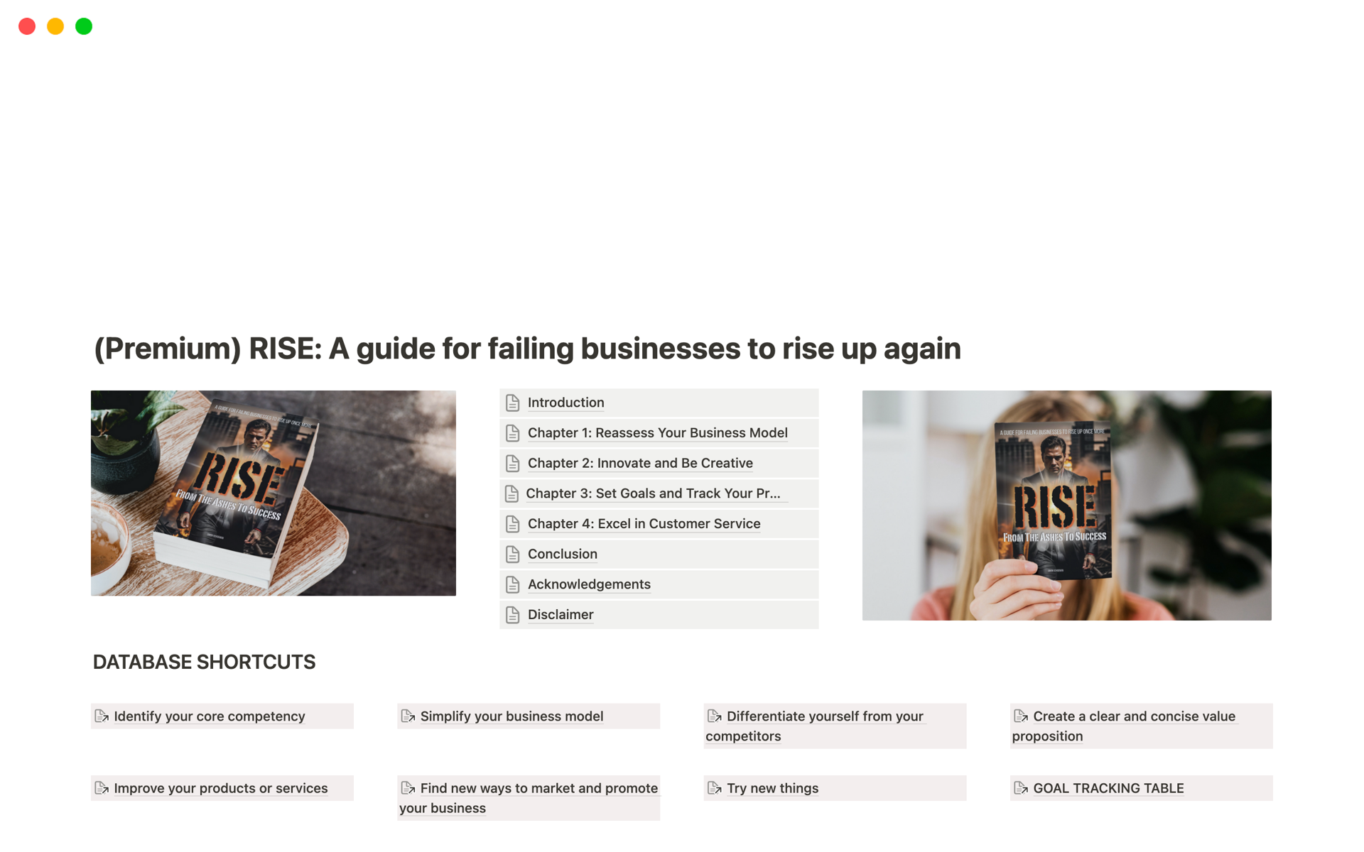 A template preview for (Premium) RISE: A Guide For Failing Businesses