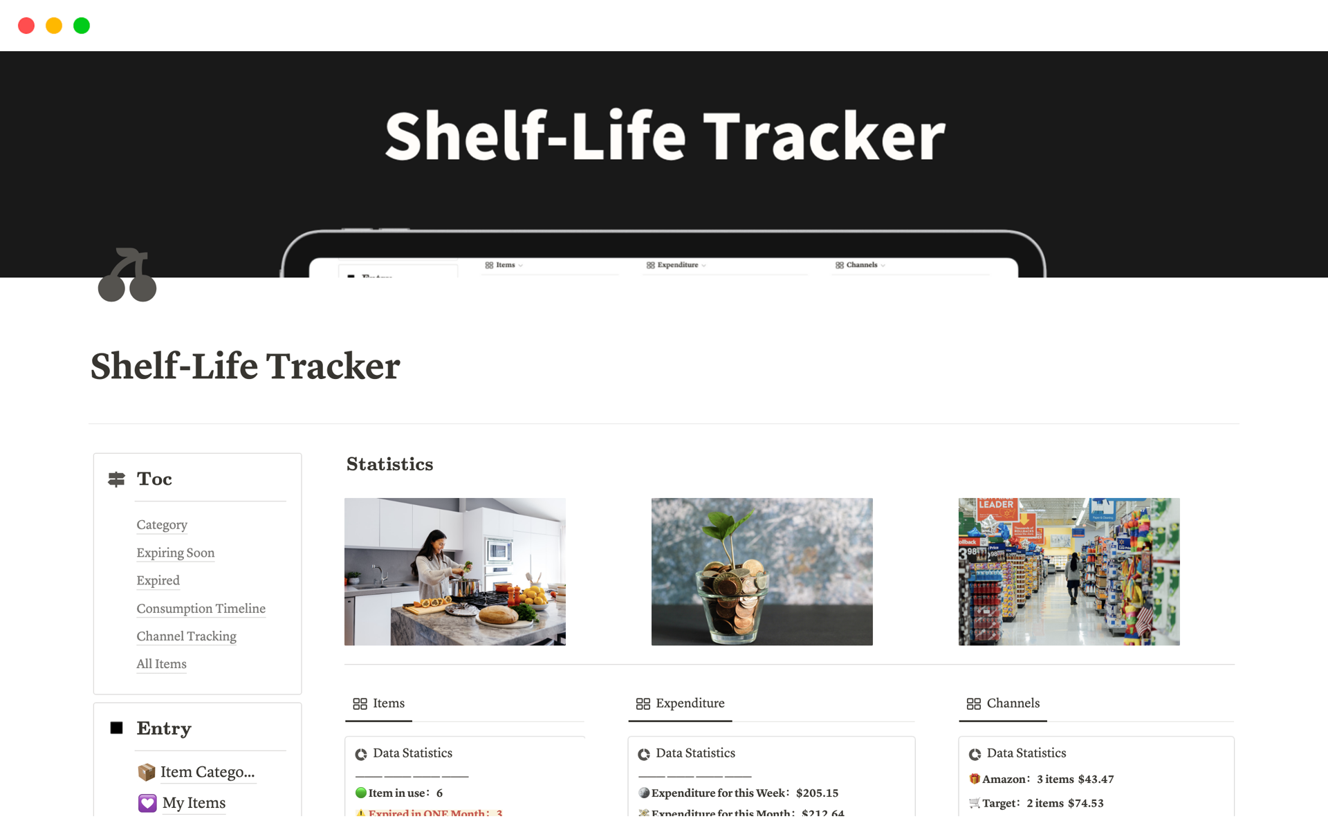 A template preview for Shelf-Life Tracker