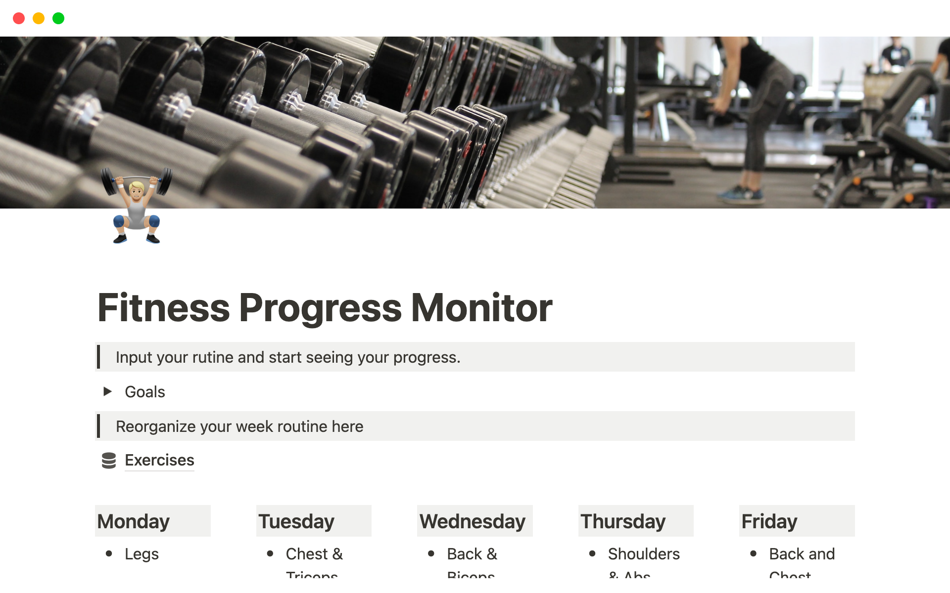 A template preview for Fitness Progress Monitor