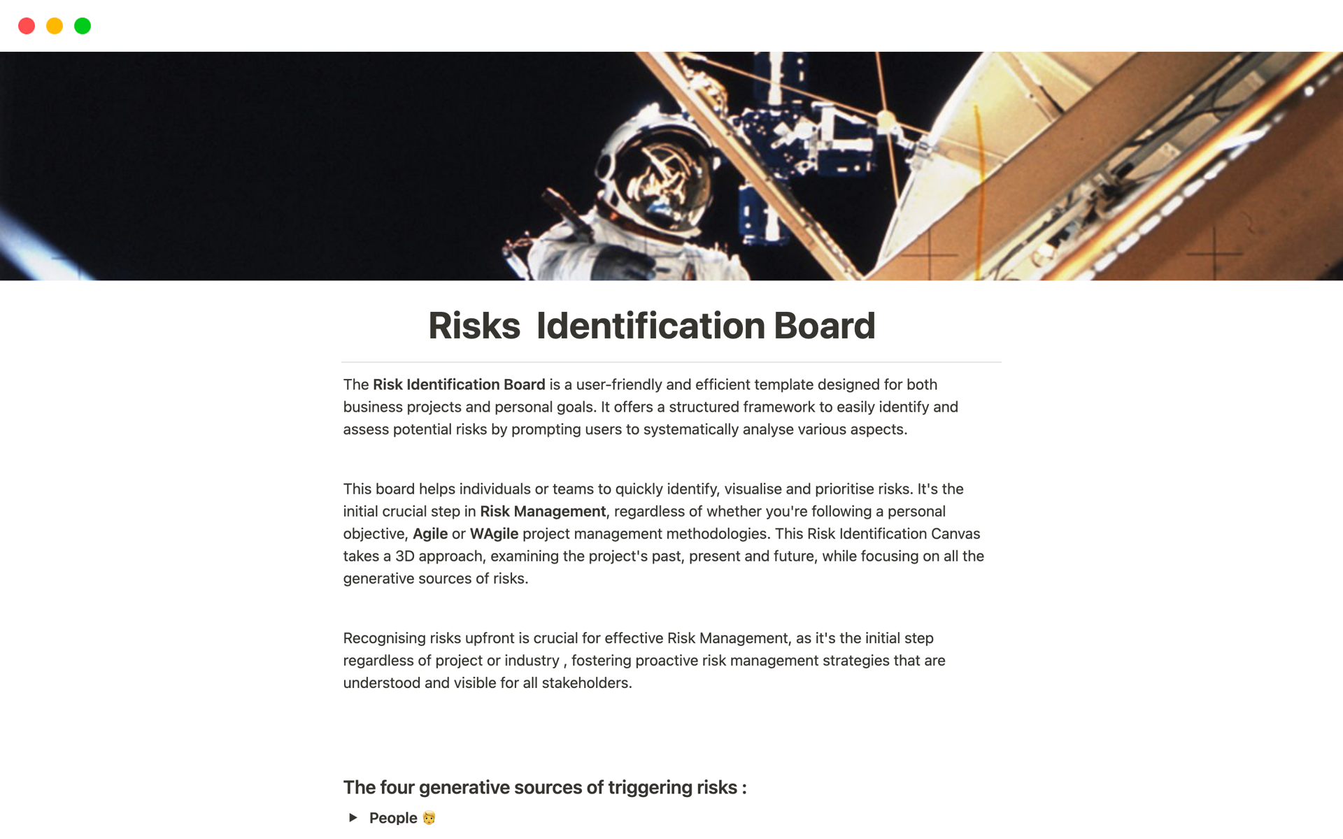 A template preview for Risks  Identification Board