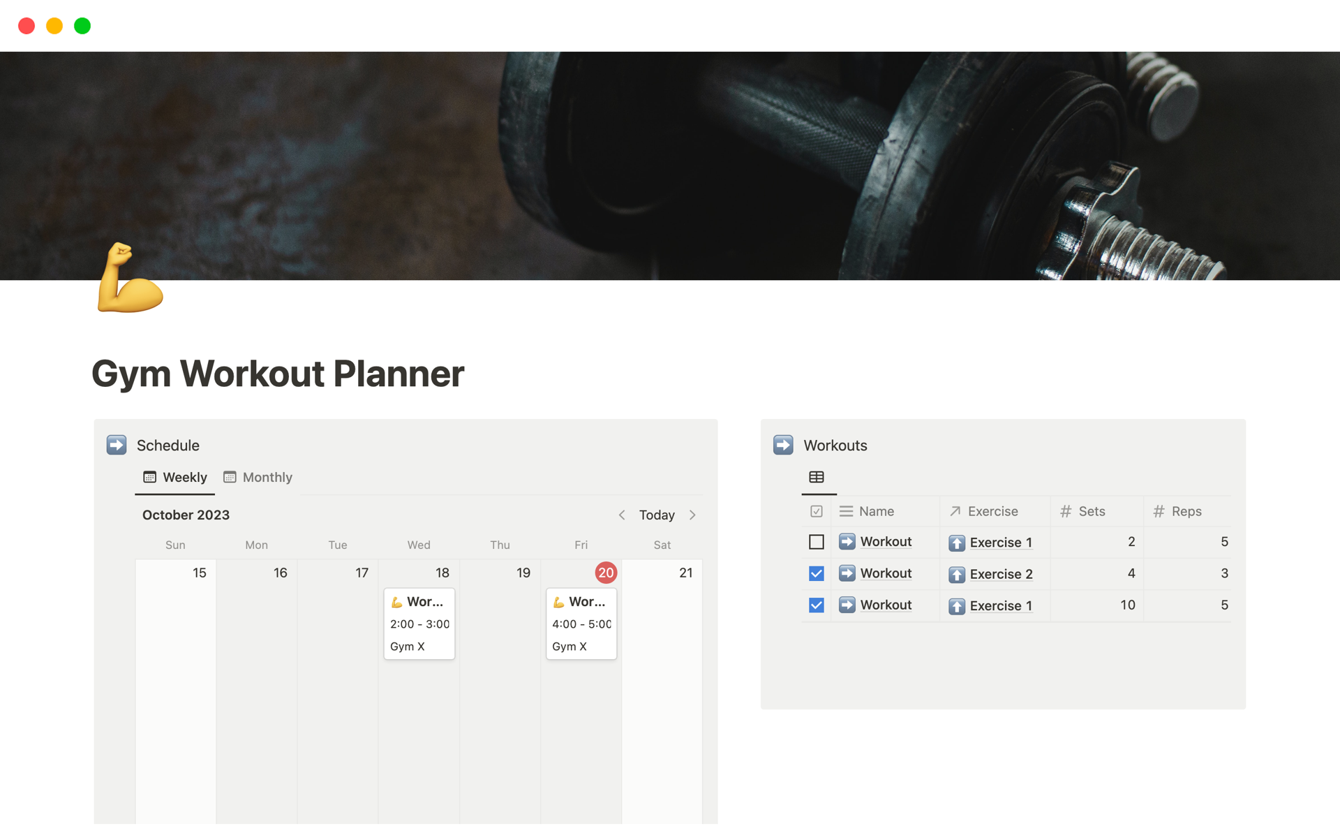 A template preview for Gym Workout Planner