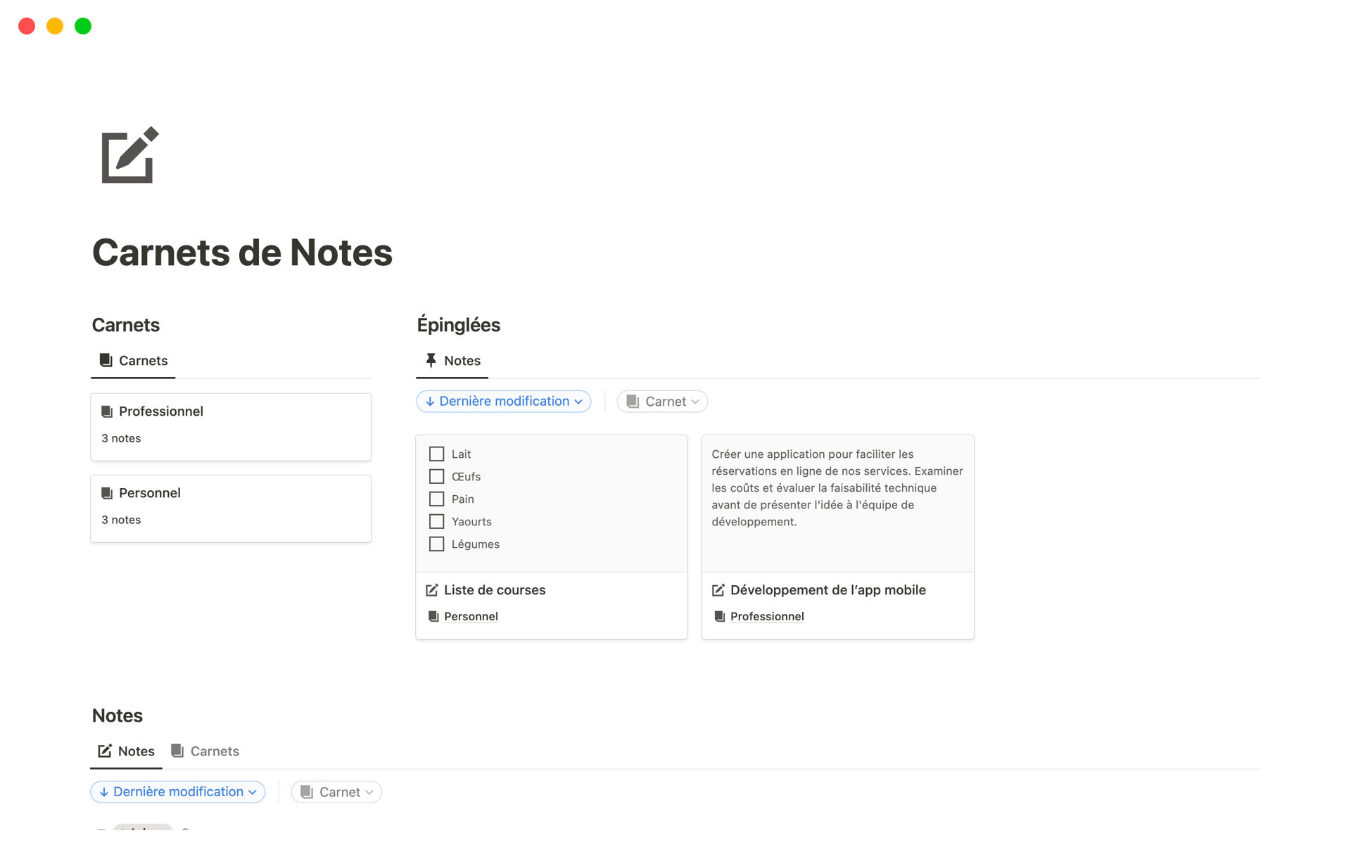 A template preview for Carnets de Notes