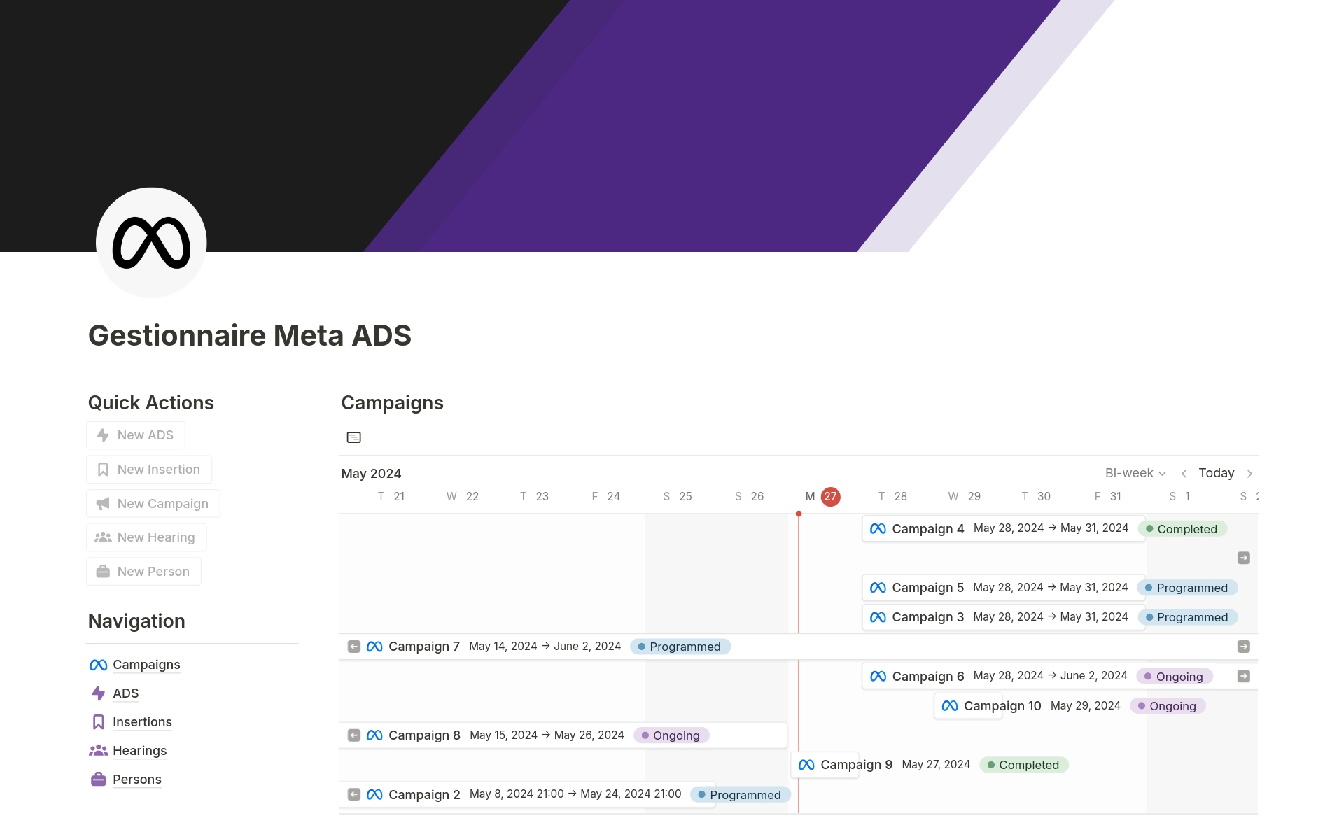 A template preview for Gestionnaire Meta ADS