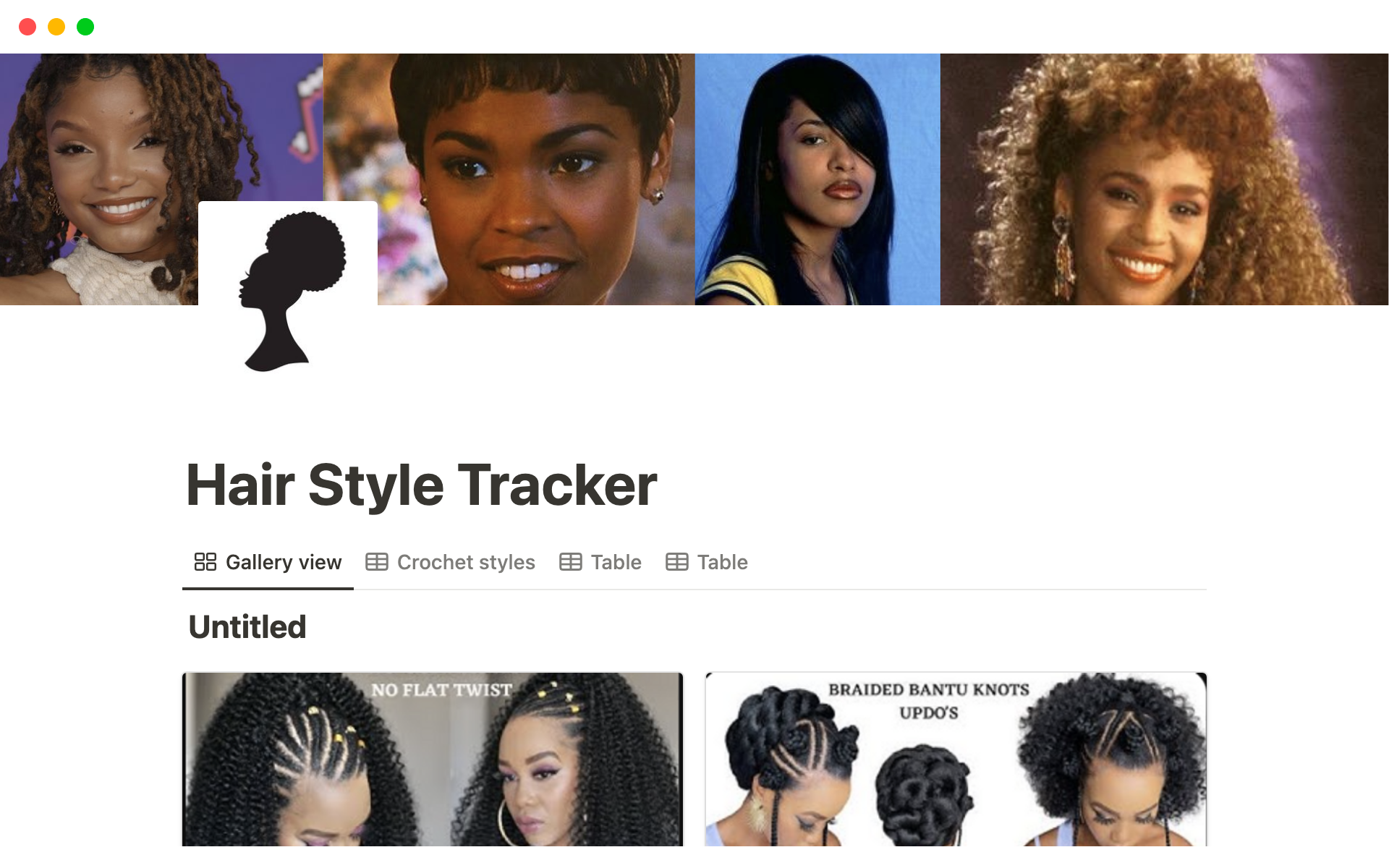 Hair Style Tracker by Jasmine Taylor Notion Template