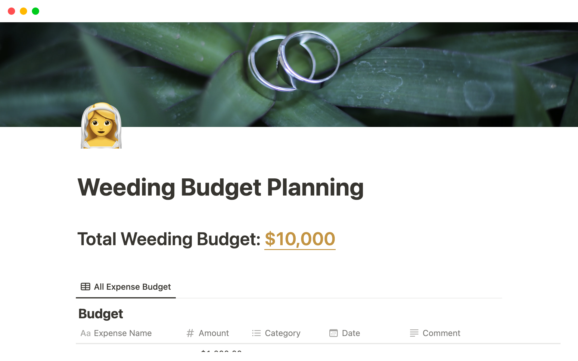 A template preview for Wedding Budget Planner Notion Template
