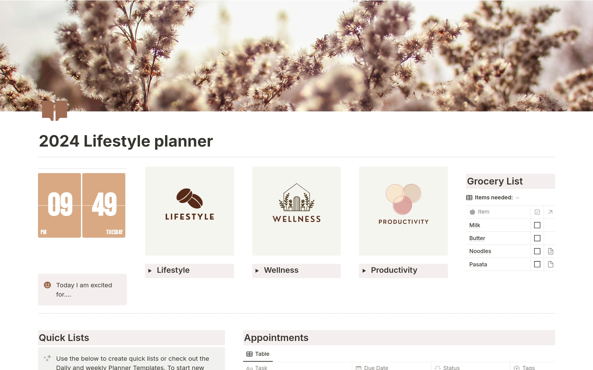 A template preview for Lifestyle Planner