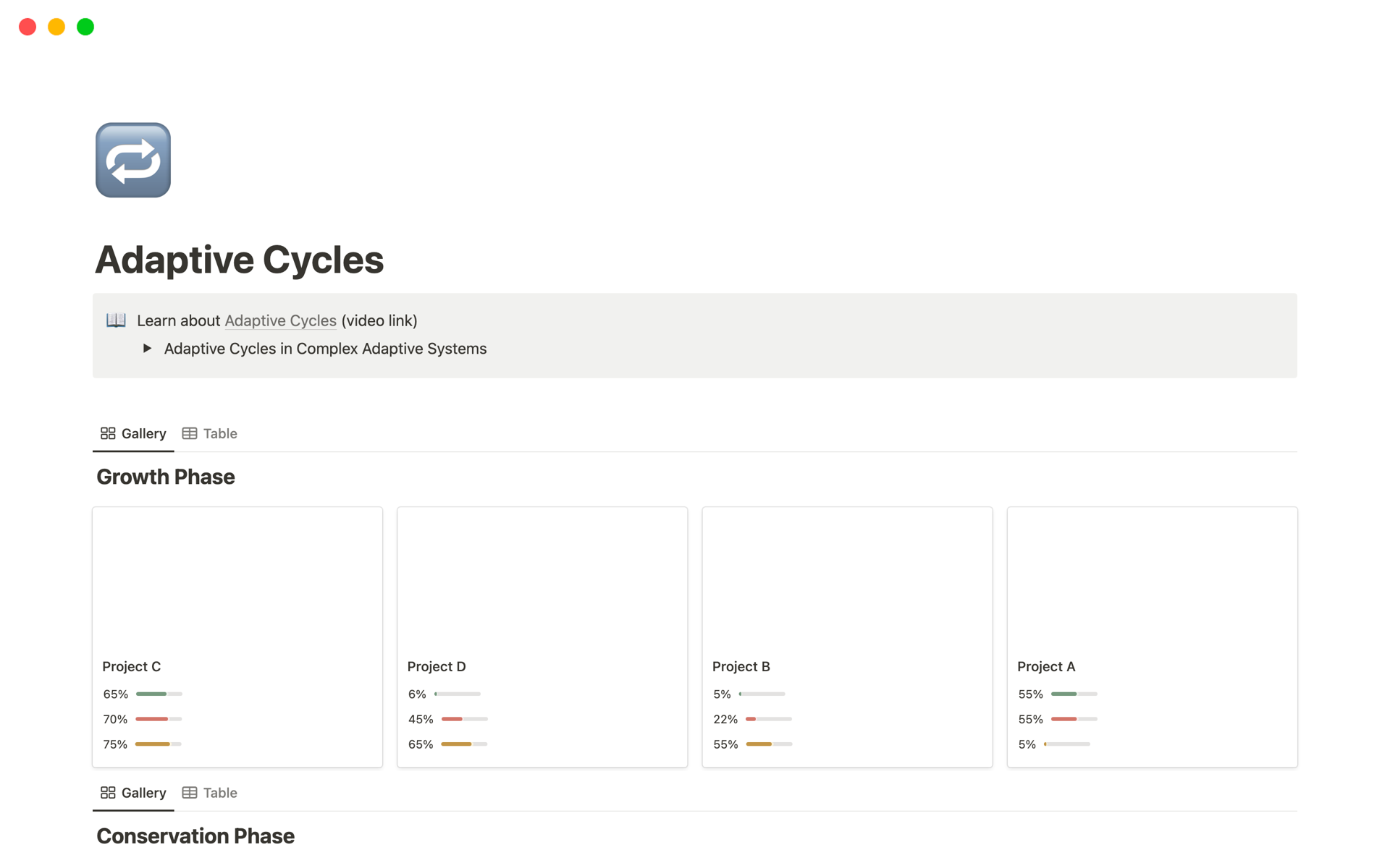 A template preview for Adaptive Cycles