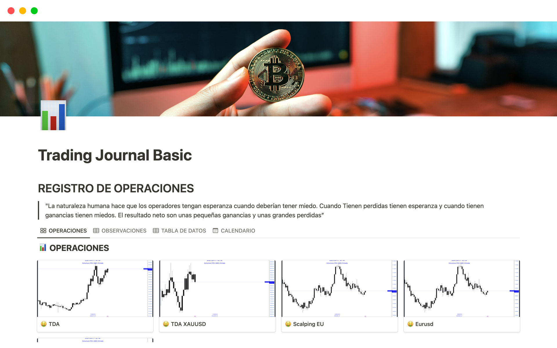 Vista previa de una plantilla para Trading Journal Basic