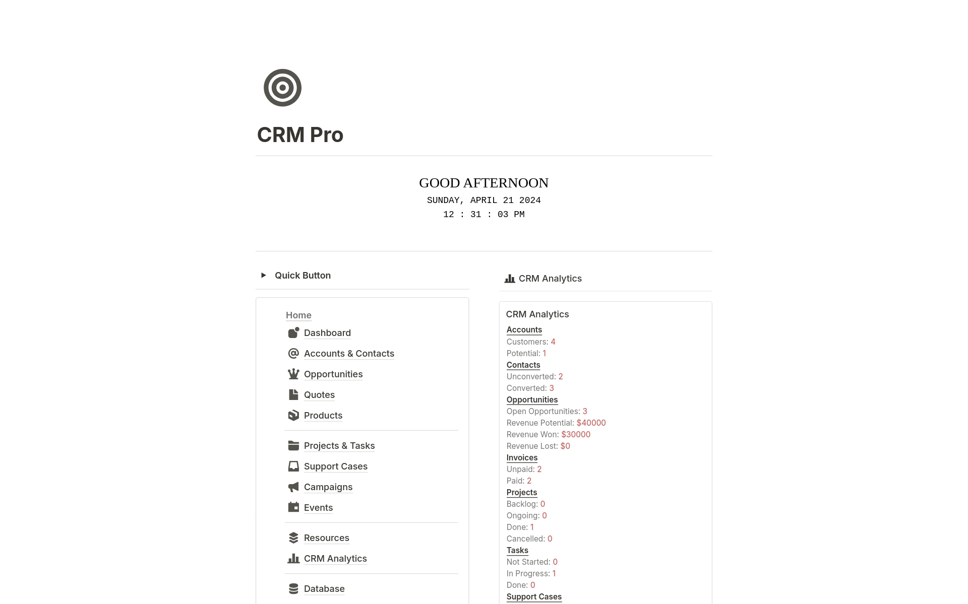 A template preview for CRM Dashboard