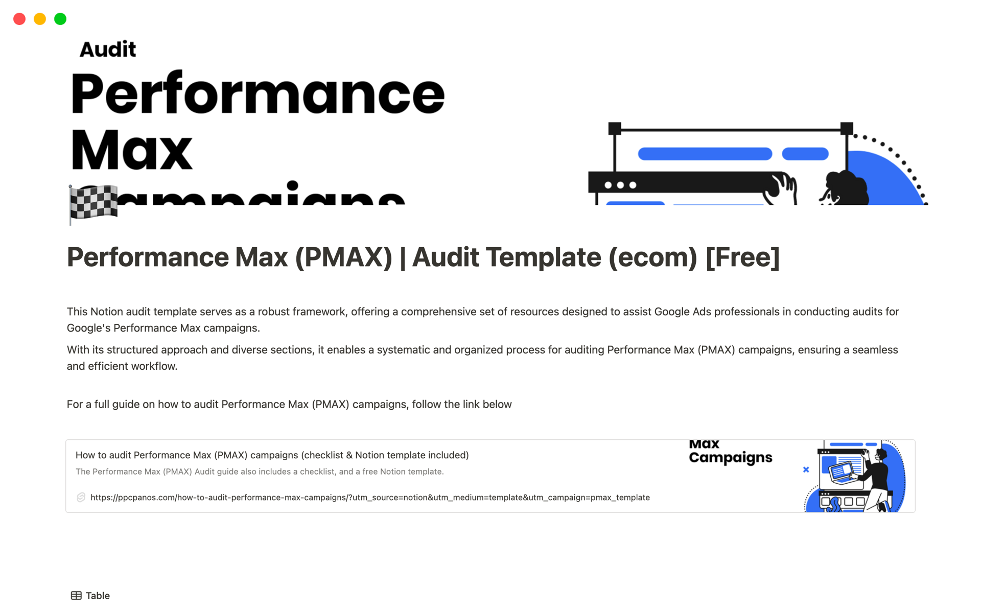 A template preview for Performance Max (PMAX) | ECom Audit