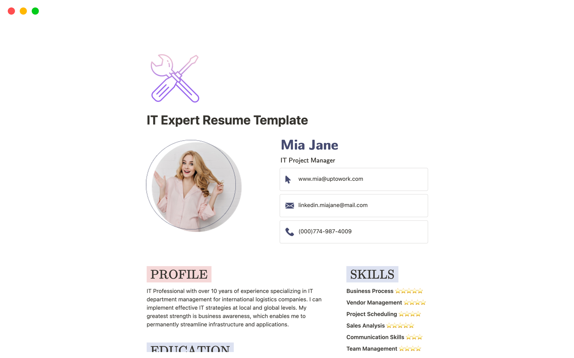 A template preview for IT Expert Resume
