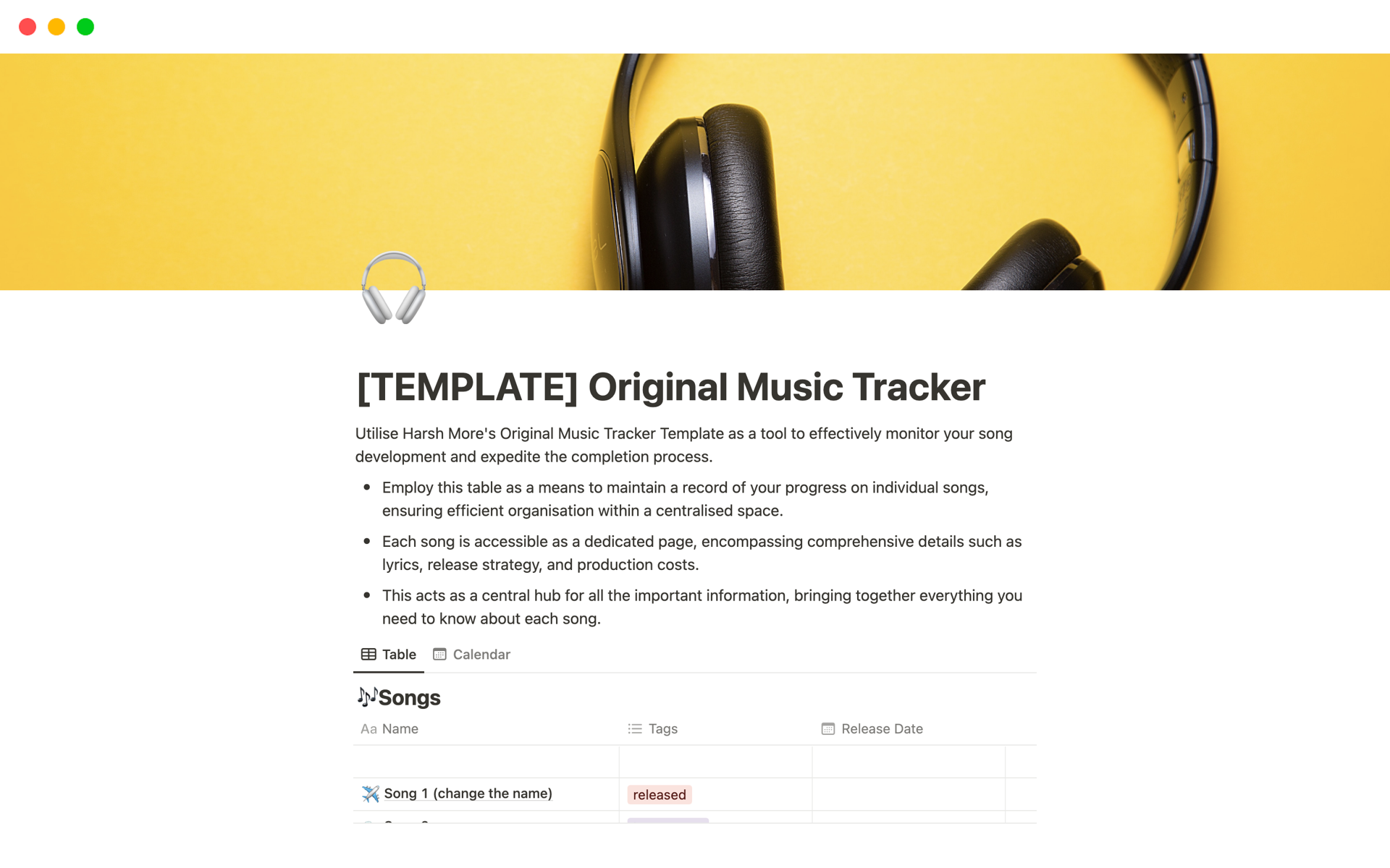 A template preview for Original Music Tracker