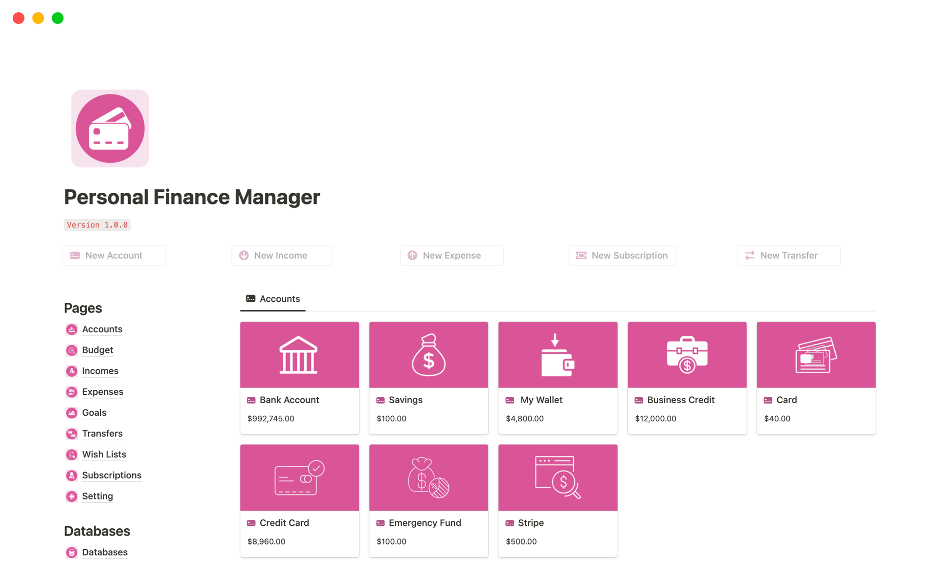 A template preview for Personal Finance Manager