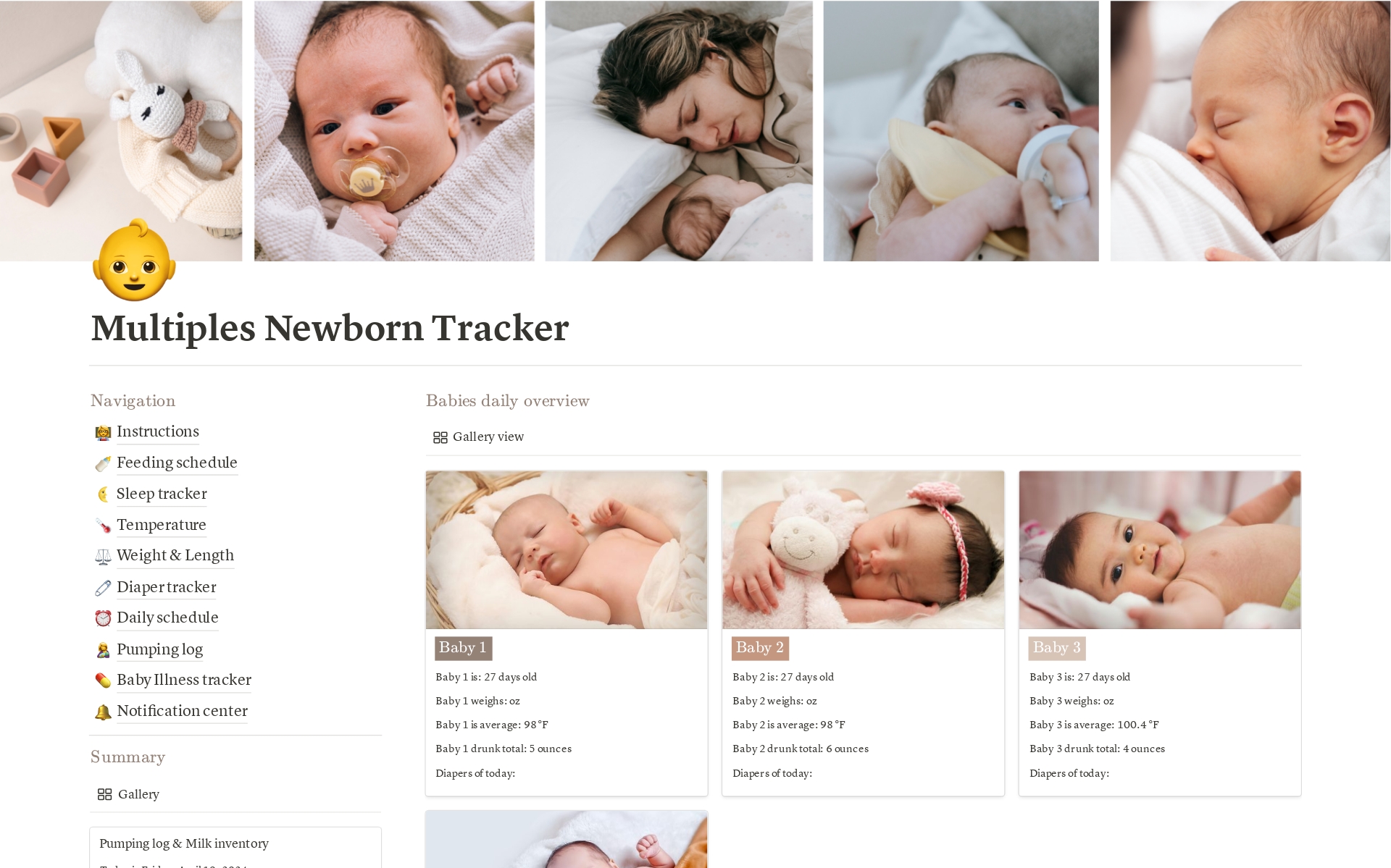 A template preview for Multiples Newborn Tracker