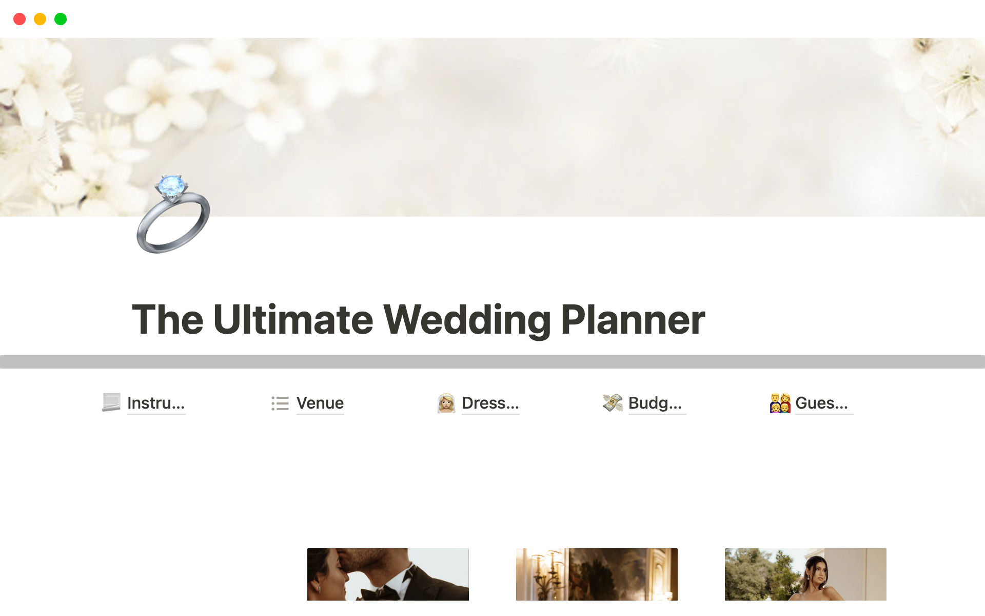 Uma prévia do modelo para The Ultimate Wedding Planner