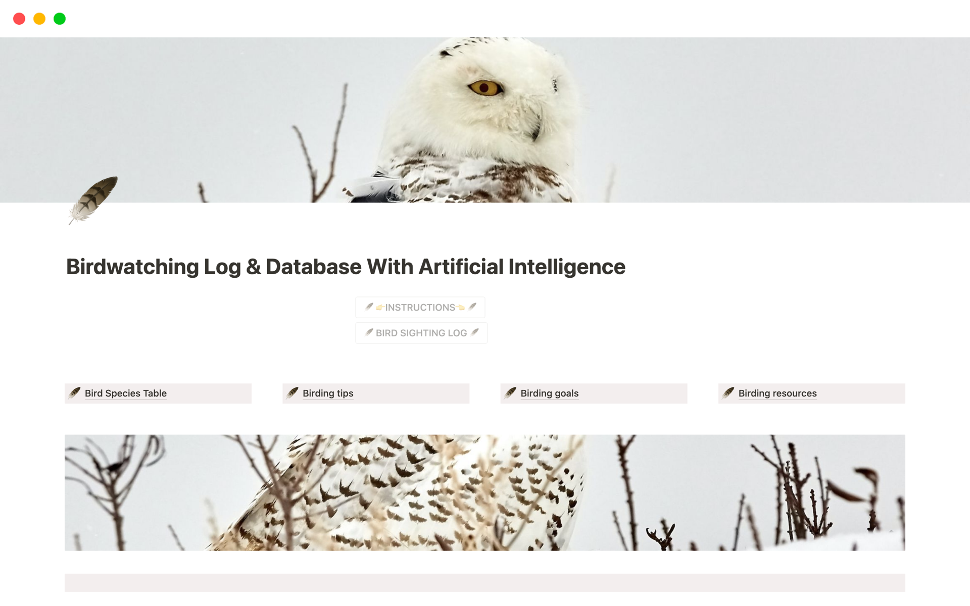A template preview for Birdwatching Log & Database With Ai
