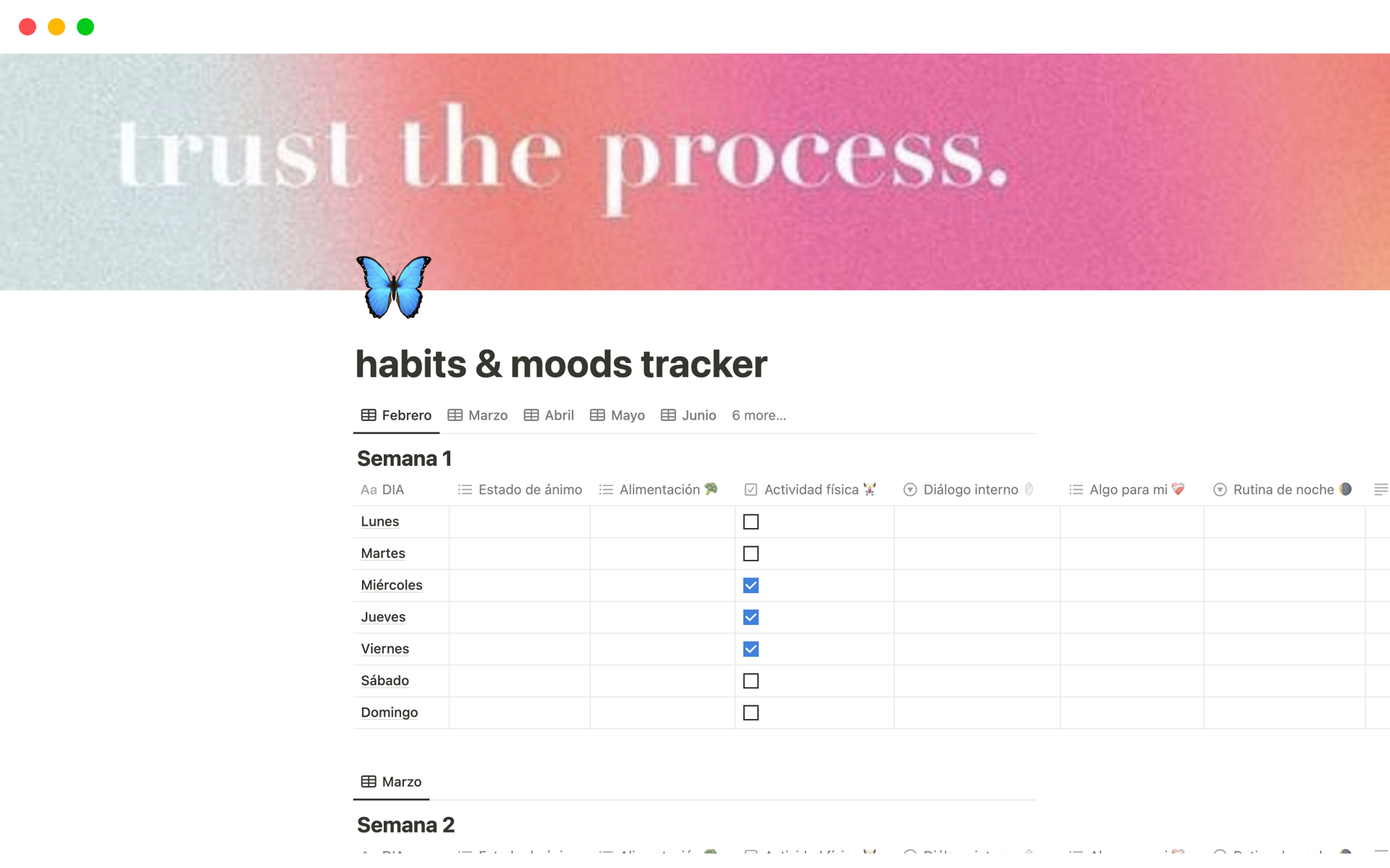 A template preview for habit & mood tracker