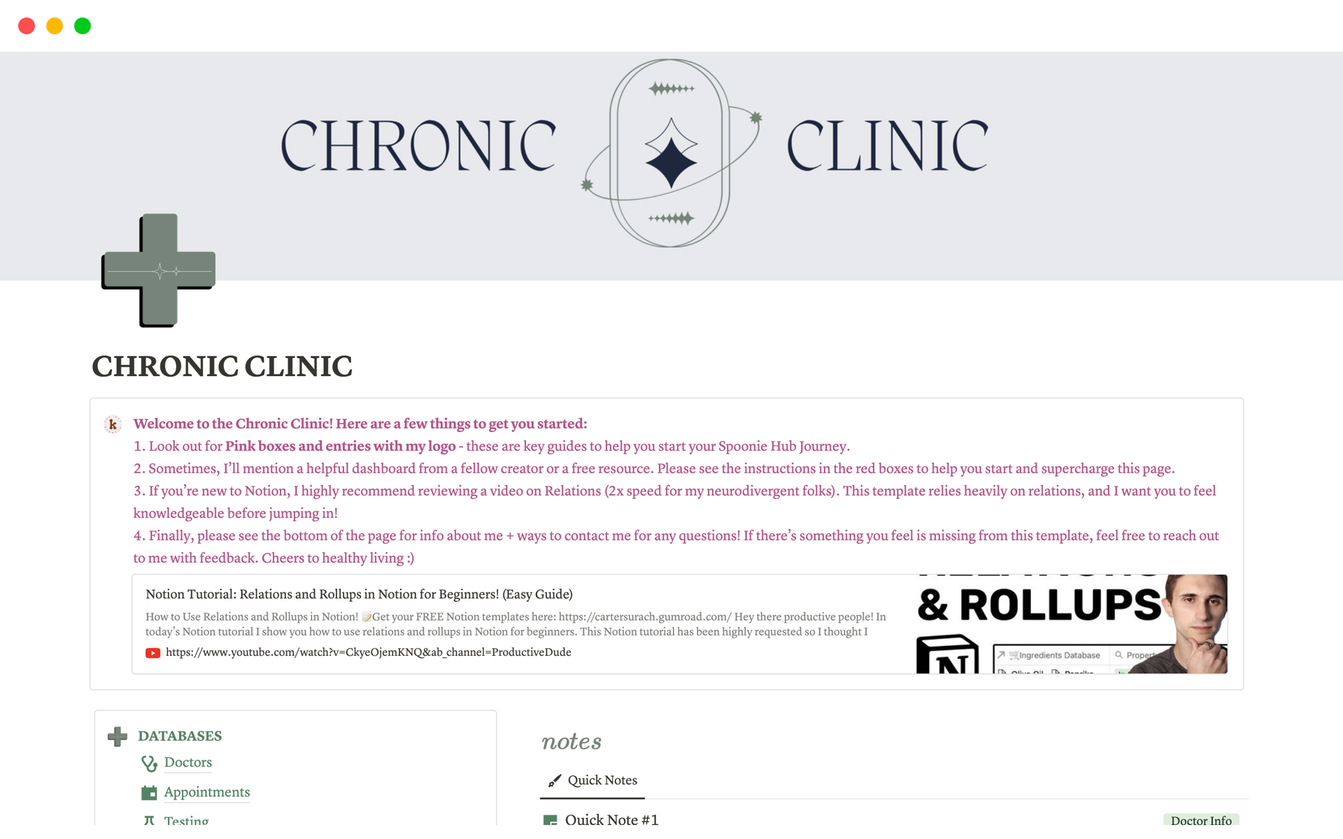 A template preview for Chronic Clinic: Health Tracker & Diary