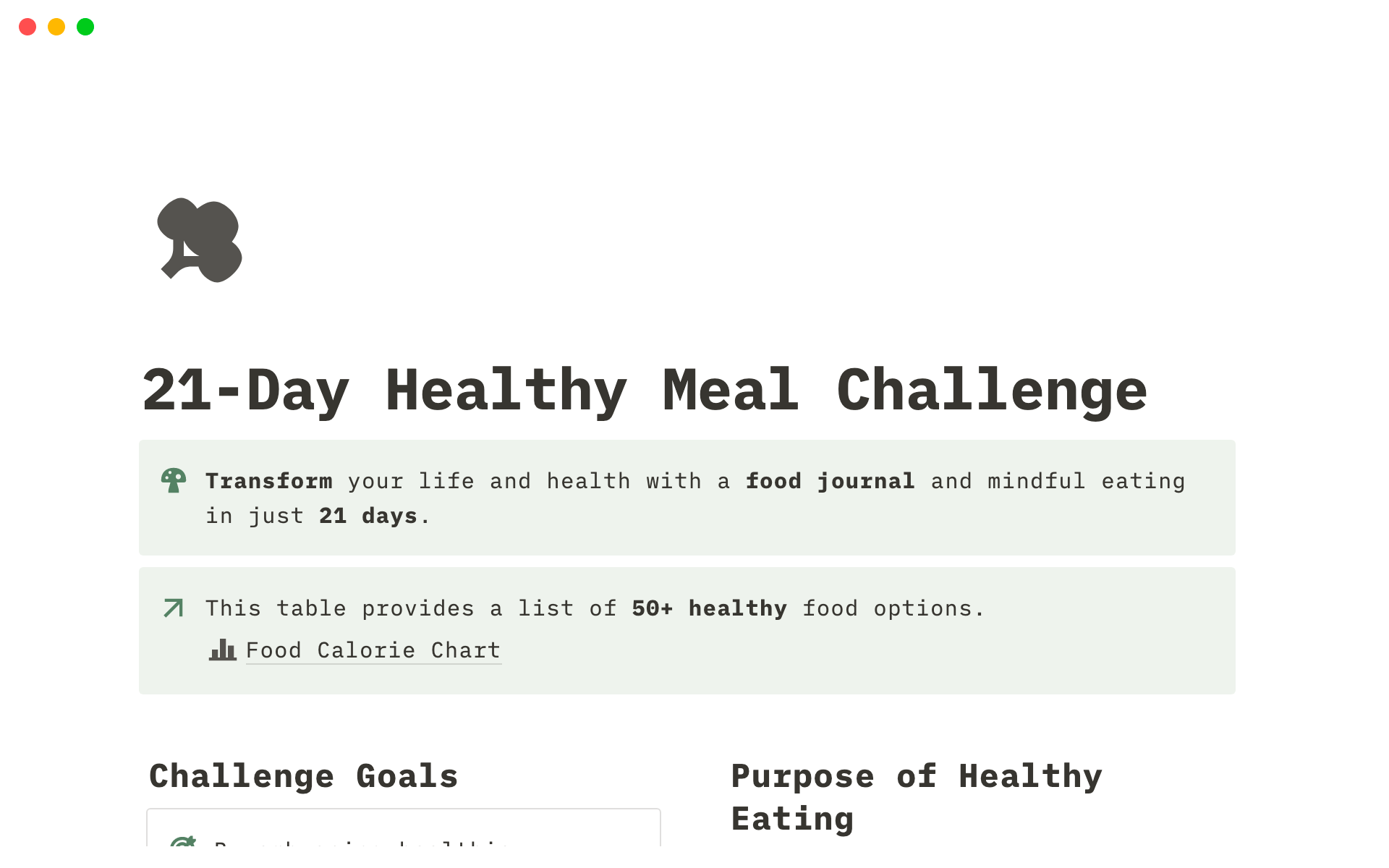 A template preview for 21 Day Healthy Meal Challenge