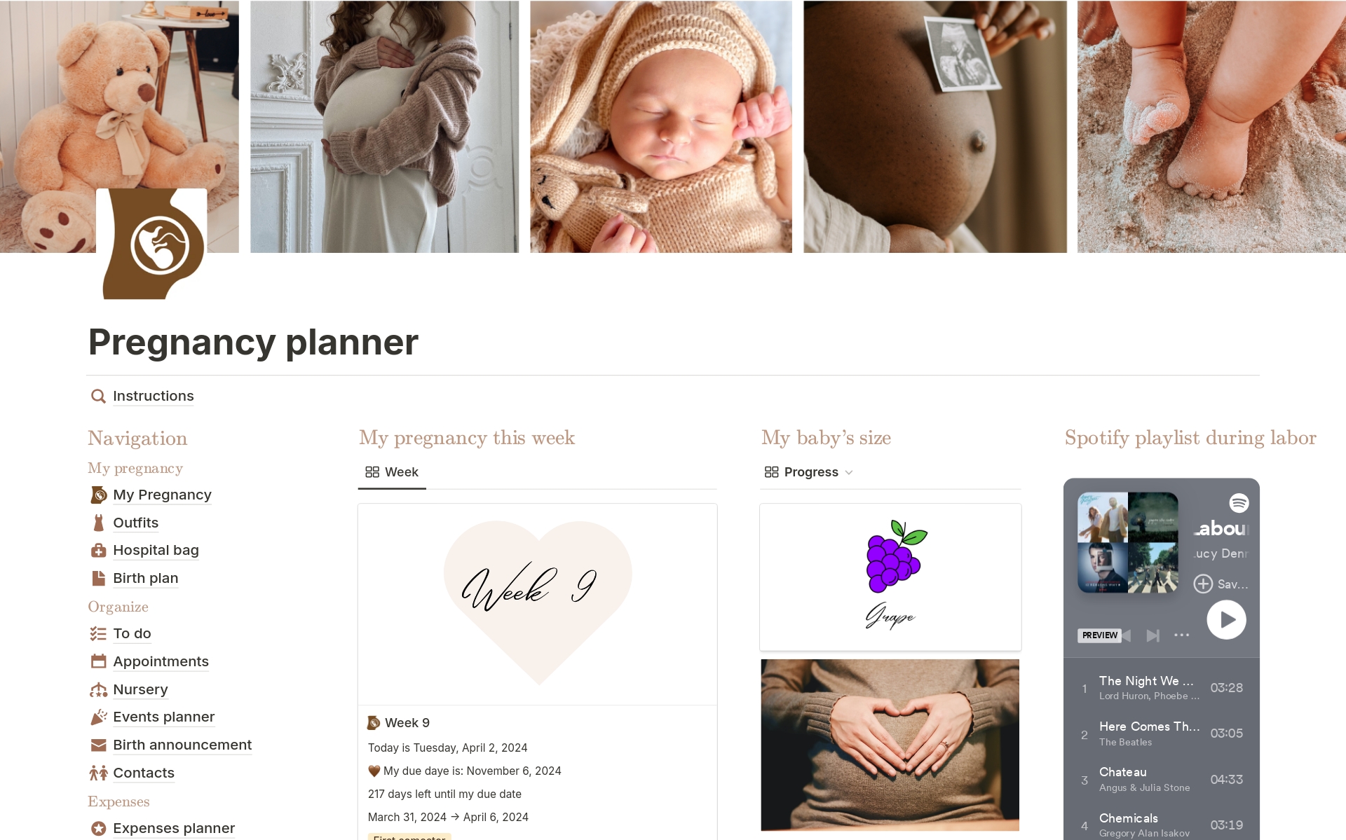 A template preview for Pregnancy planner