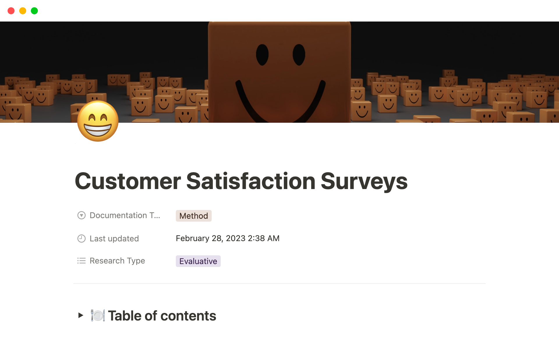 Uma prévia do modelo para Customer Satisfaction Surveys