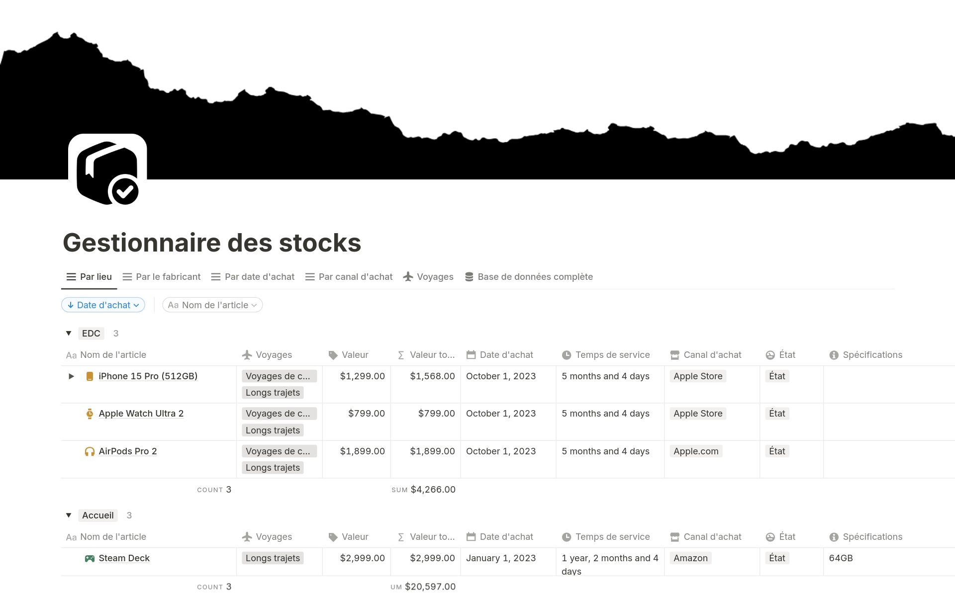 A template preview for Gestionnaire des stocks