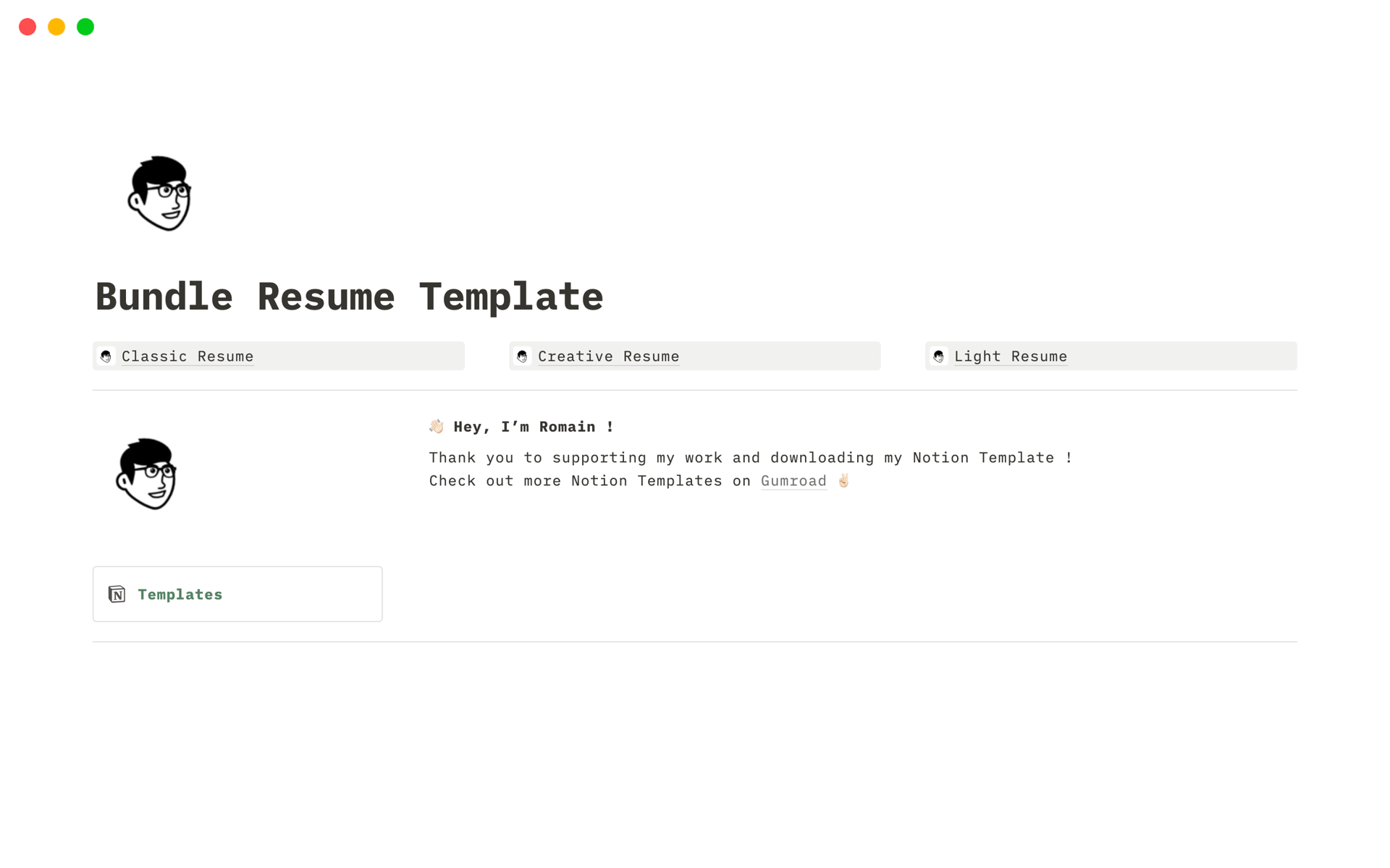 A template preview for Bundle of Resume Designs