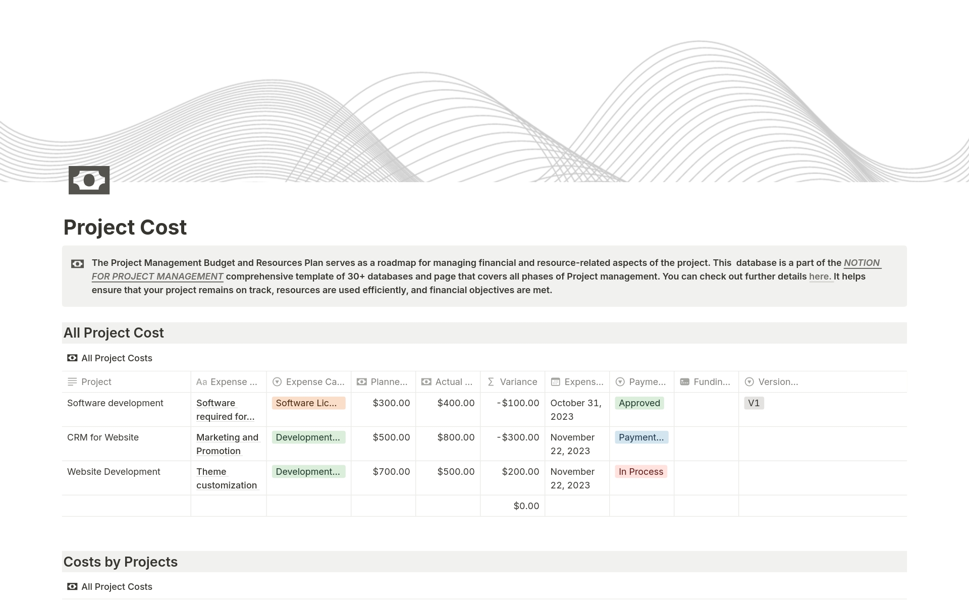 A template preview for Project Cost Management