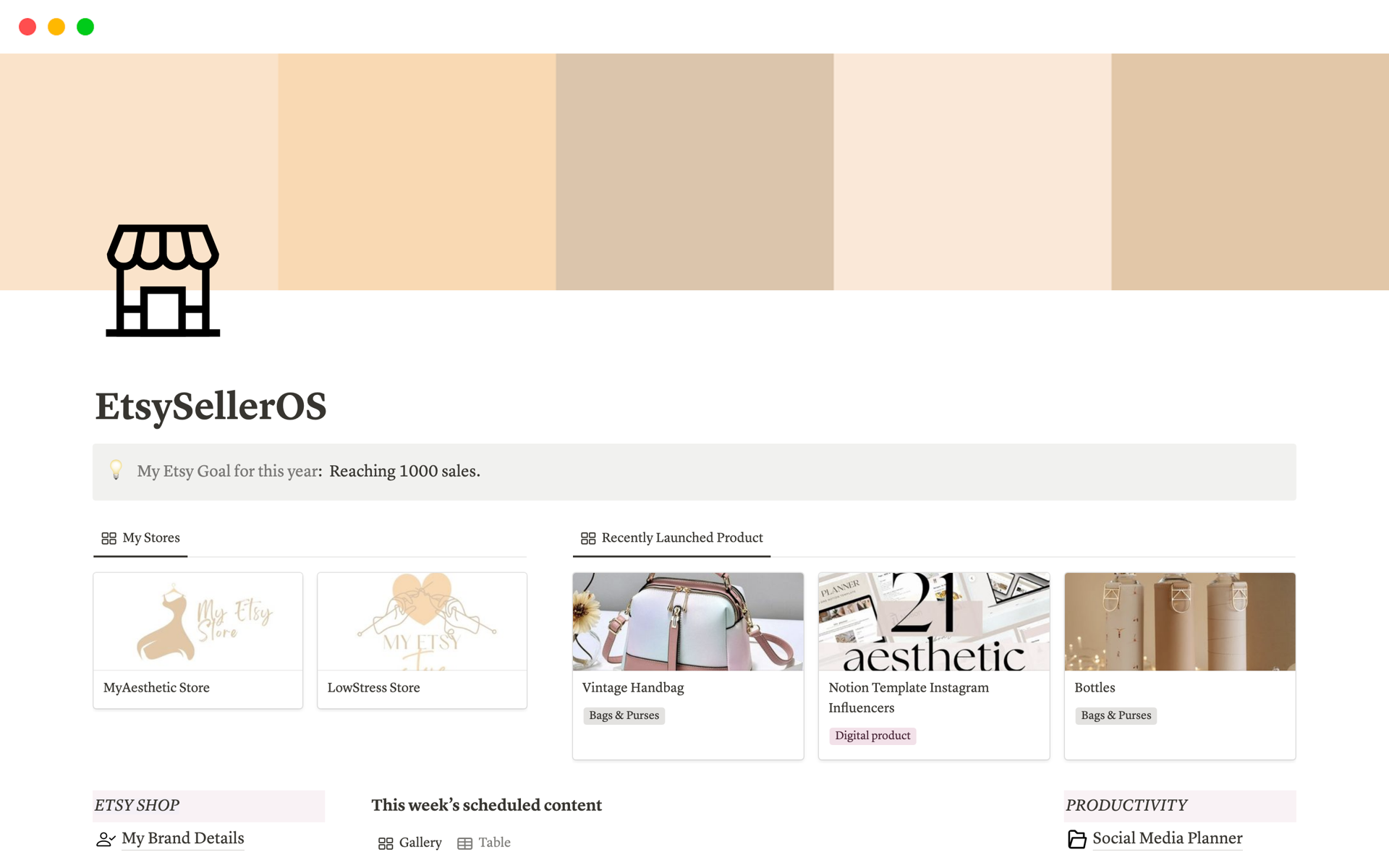 A template preview for EtsySellerOS