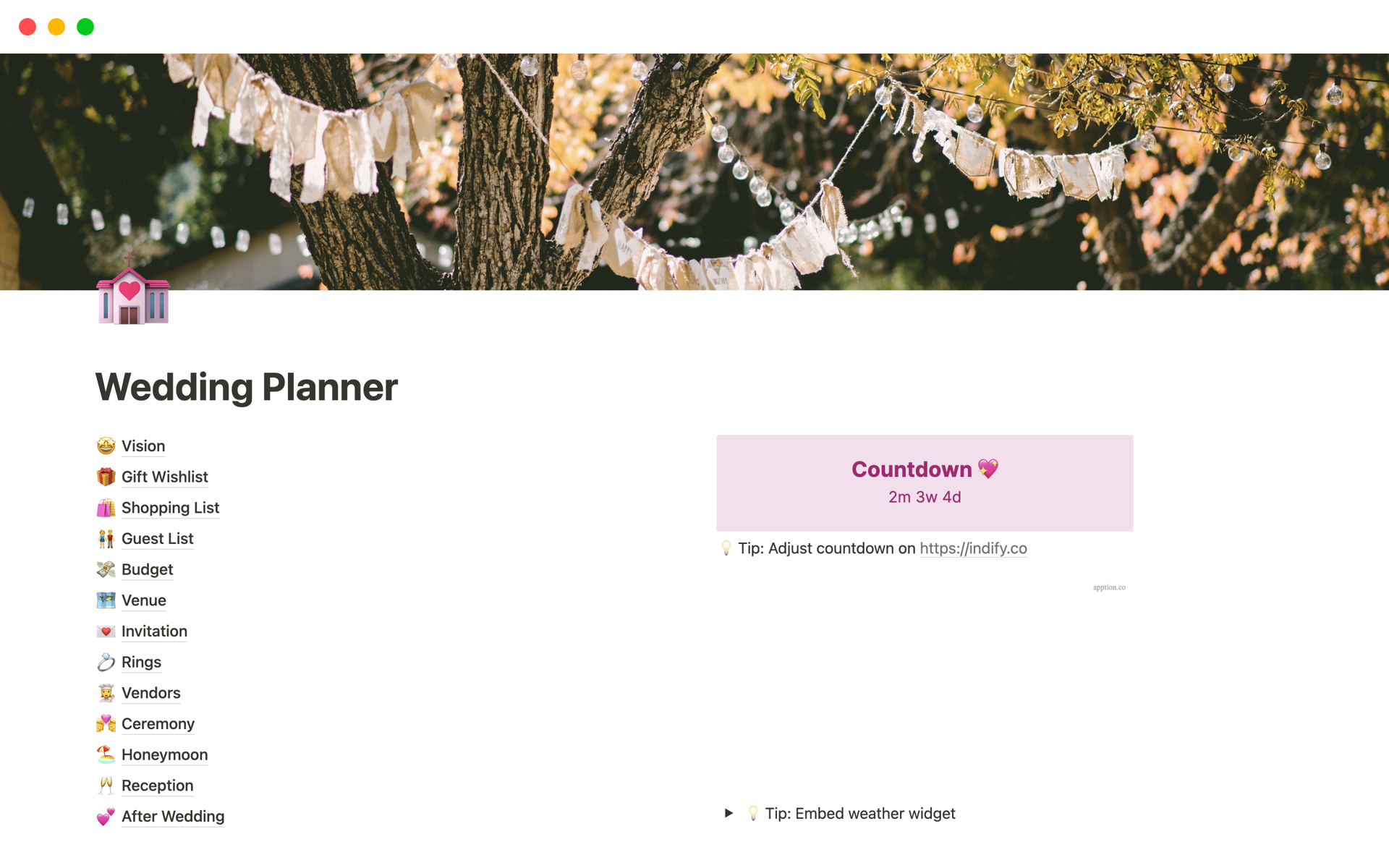 A template preview for Magical Wedding Planner