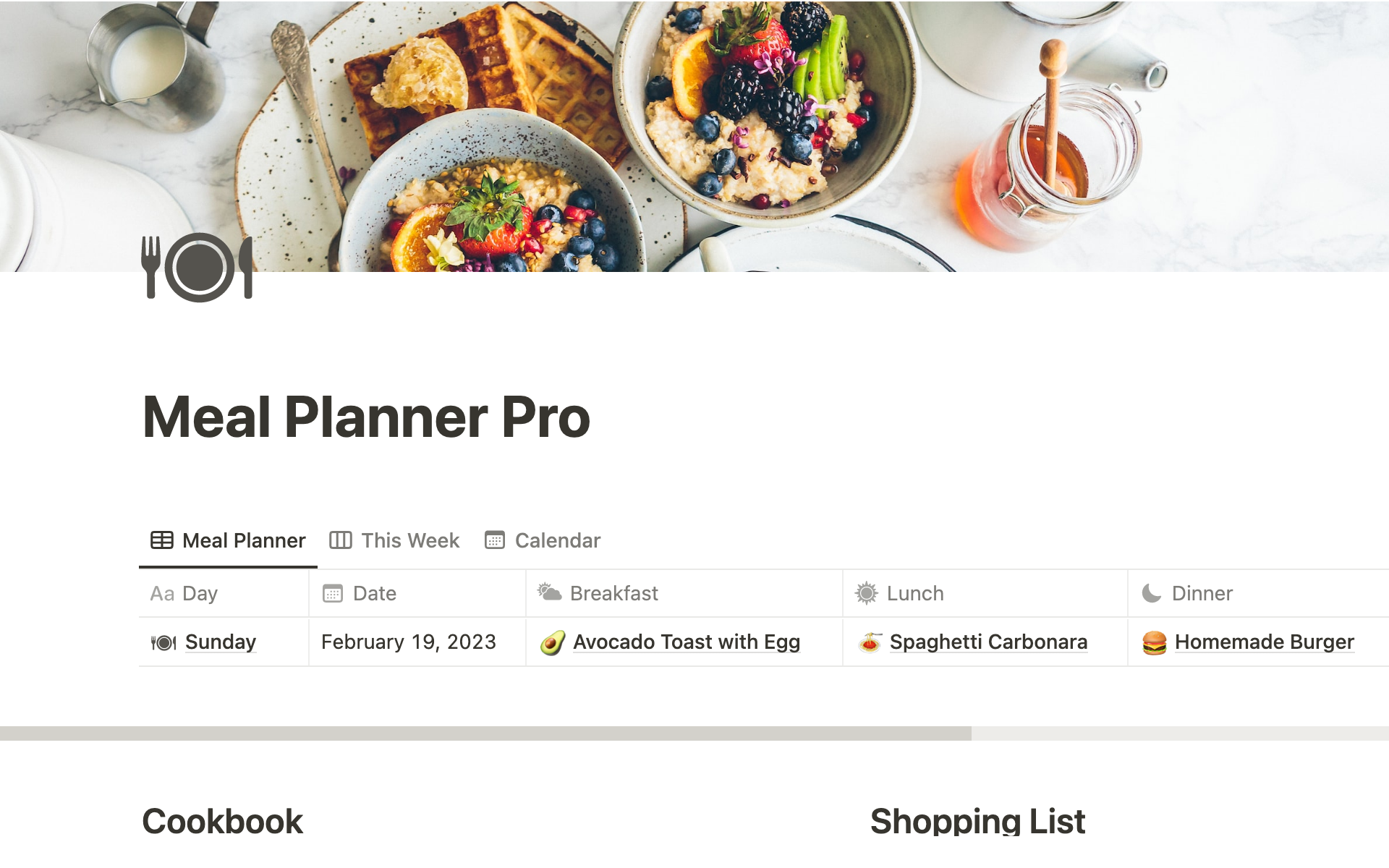A template preview for Meal Planner Pro