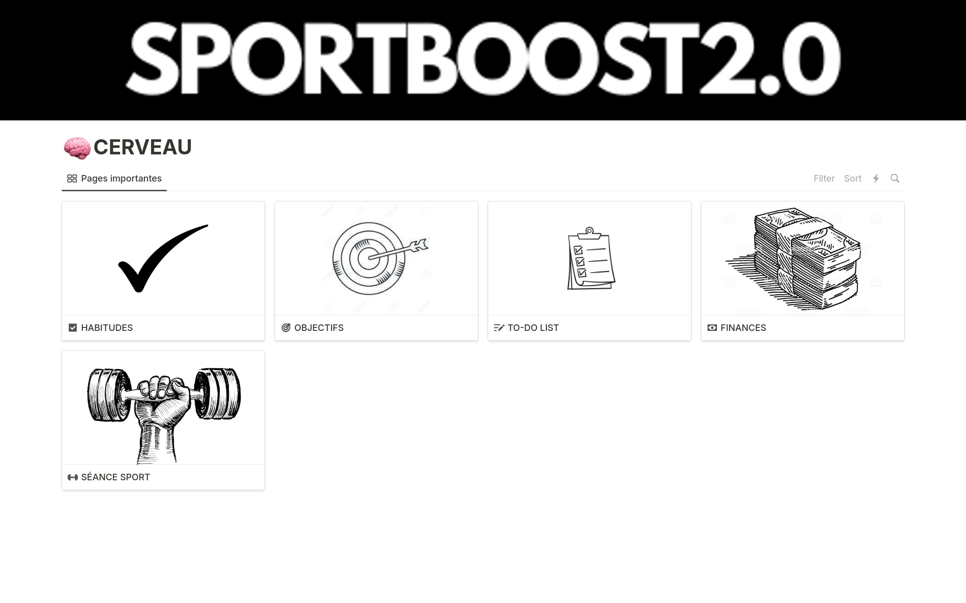 Aperçu du modèle de SportBoost2.0