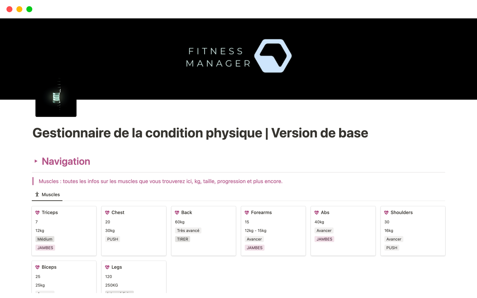 A template preview for Gestionnaire de la condition physiqueVersiondebase