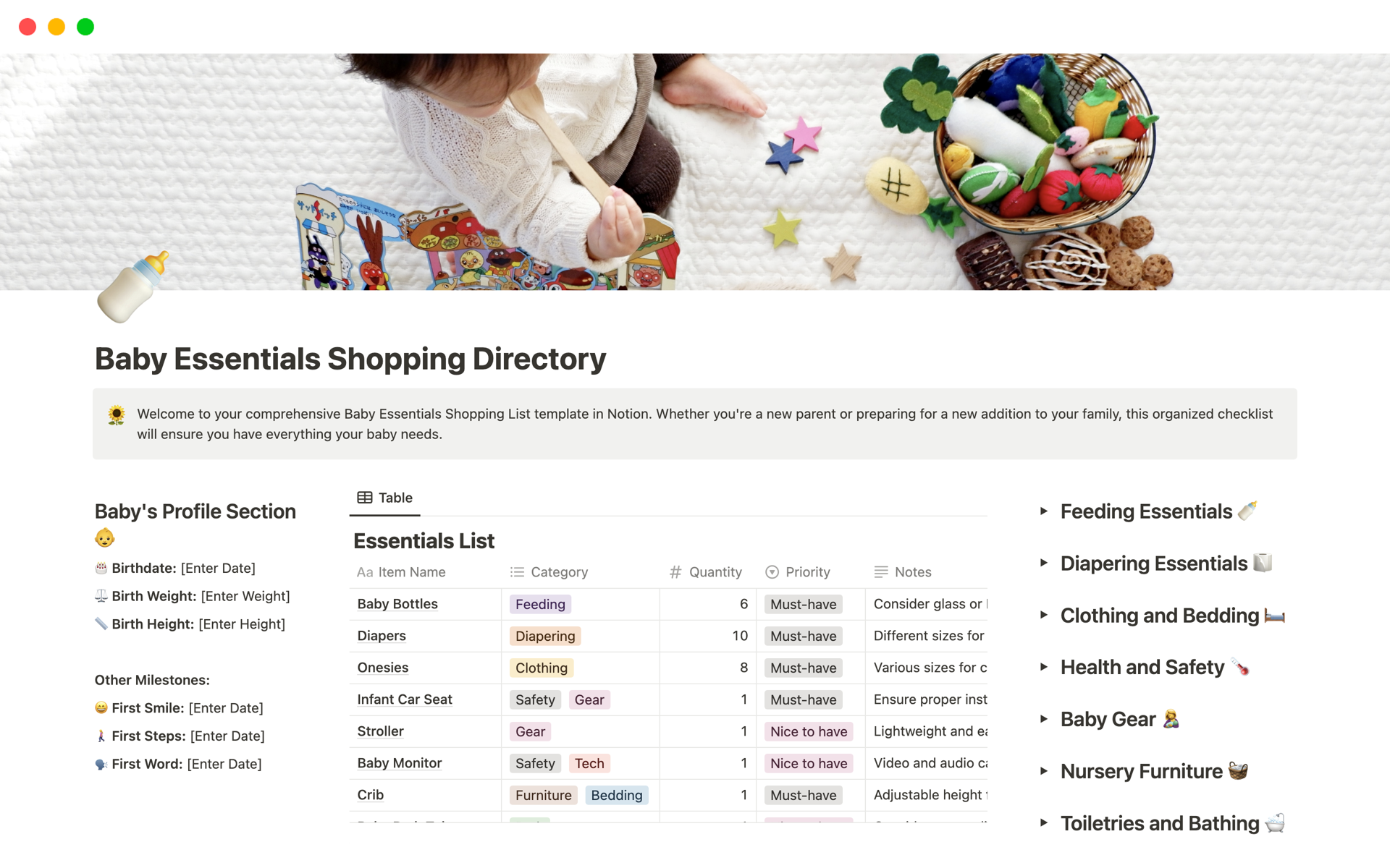 Eine Vorlagenvorschau für Baby Essentials Shopping Directory