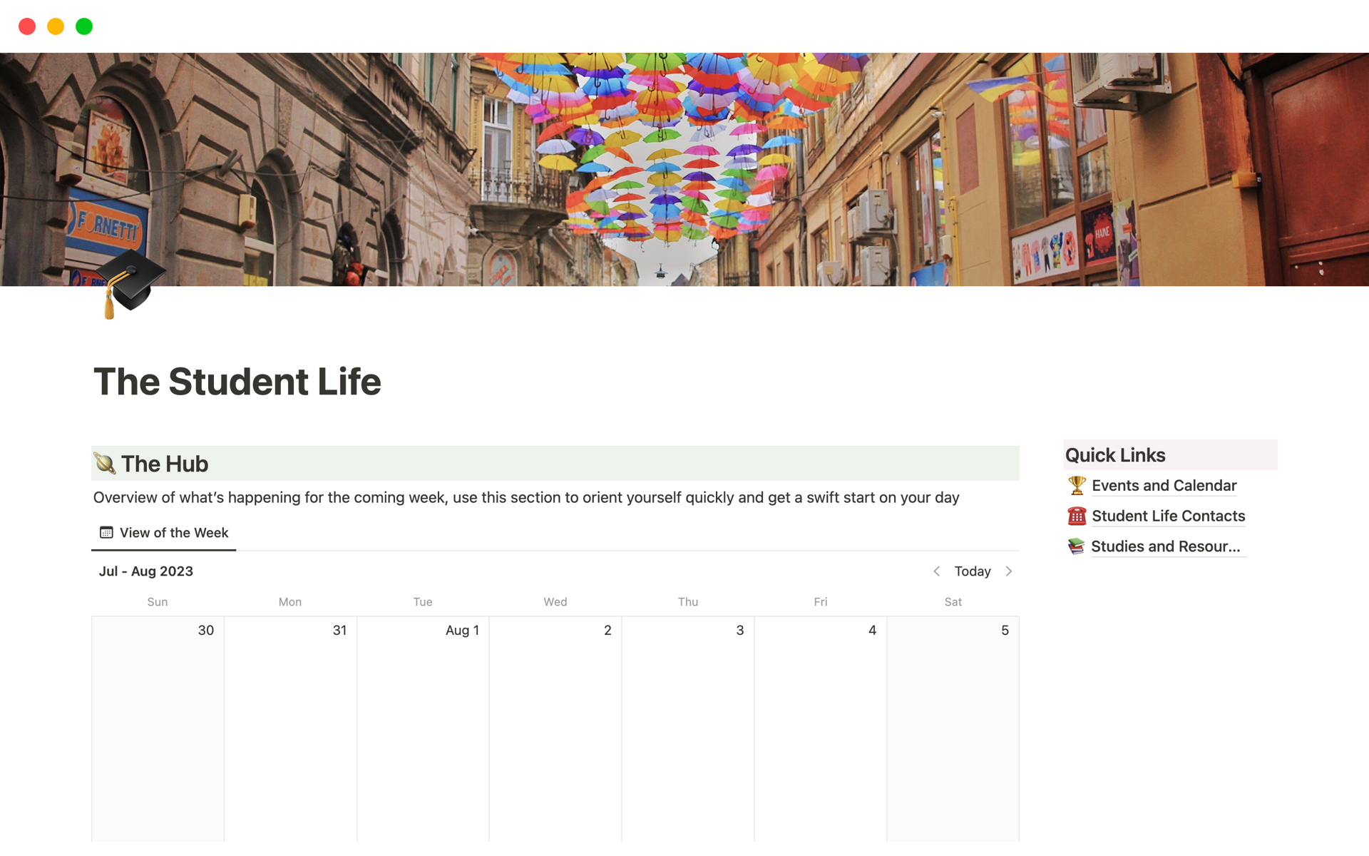 A template preview for The Simple Student Life
