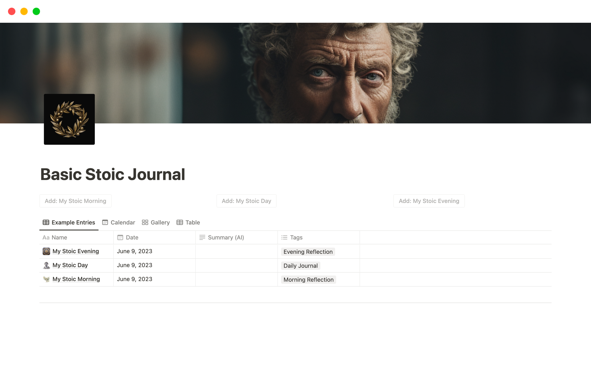 A template preview for Basic Stoic Journal