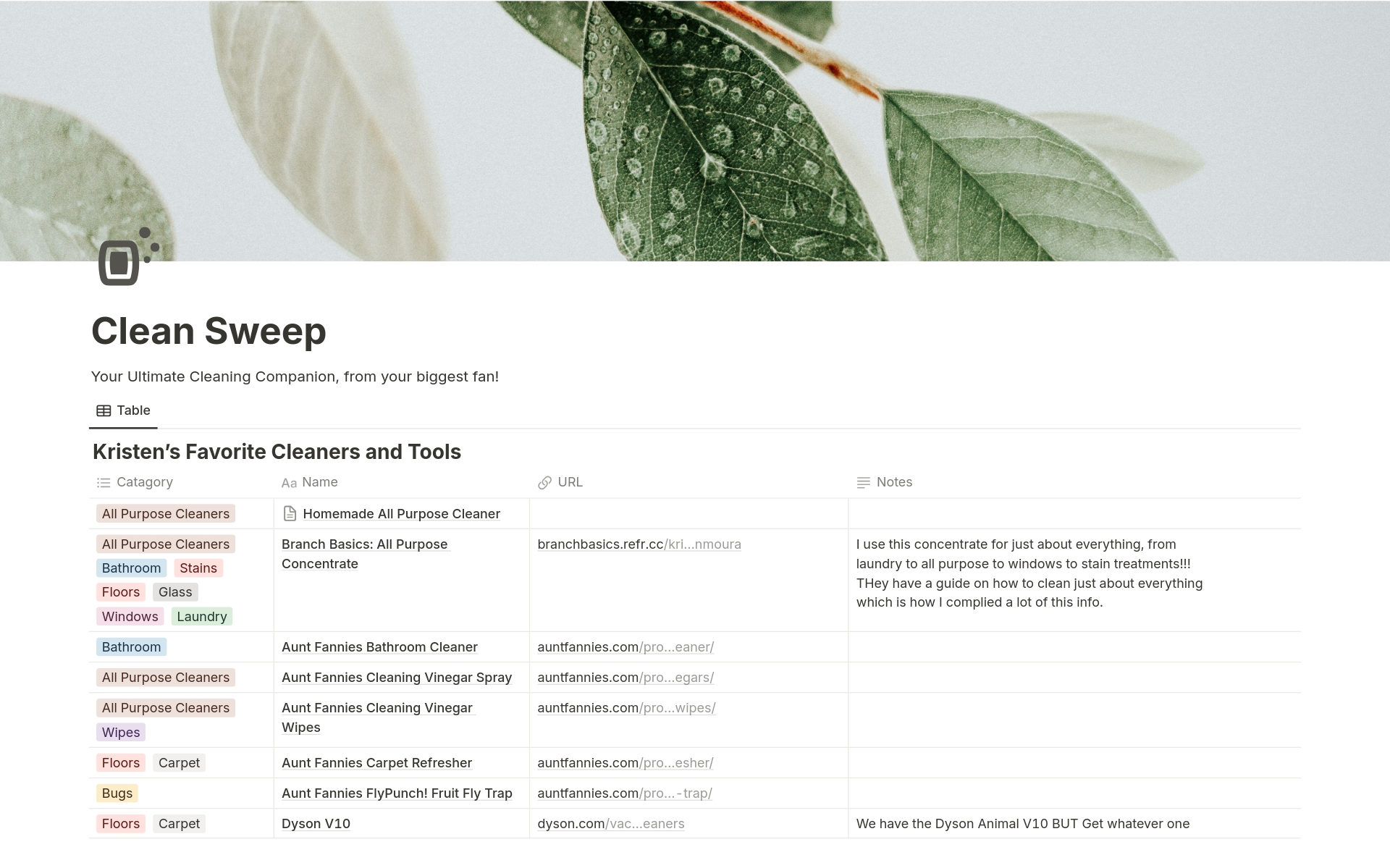 Clean Sweep Your Guide to Cleaning! Notion Template