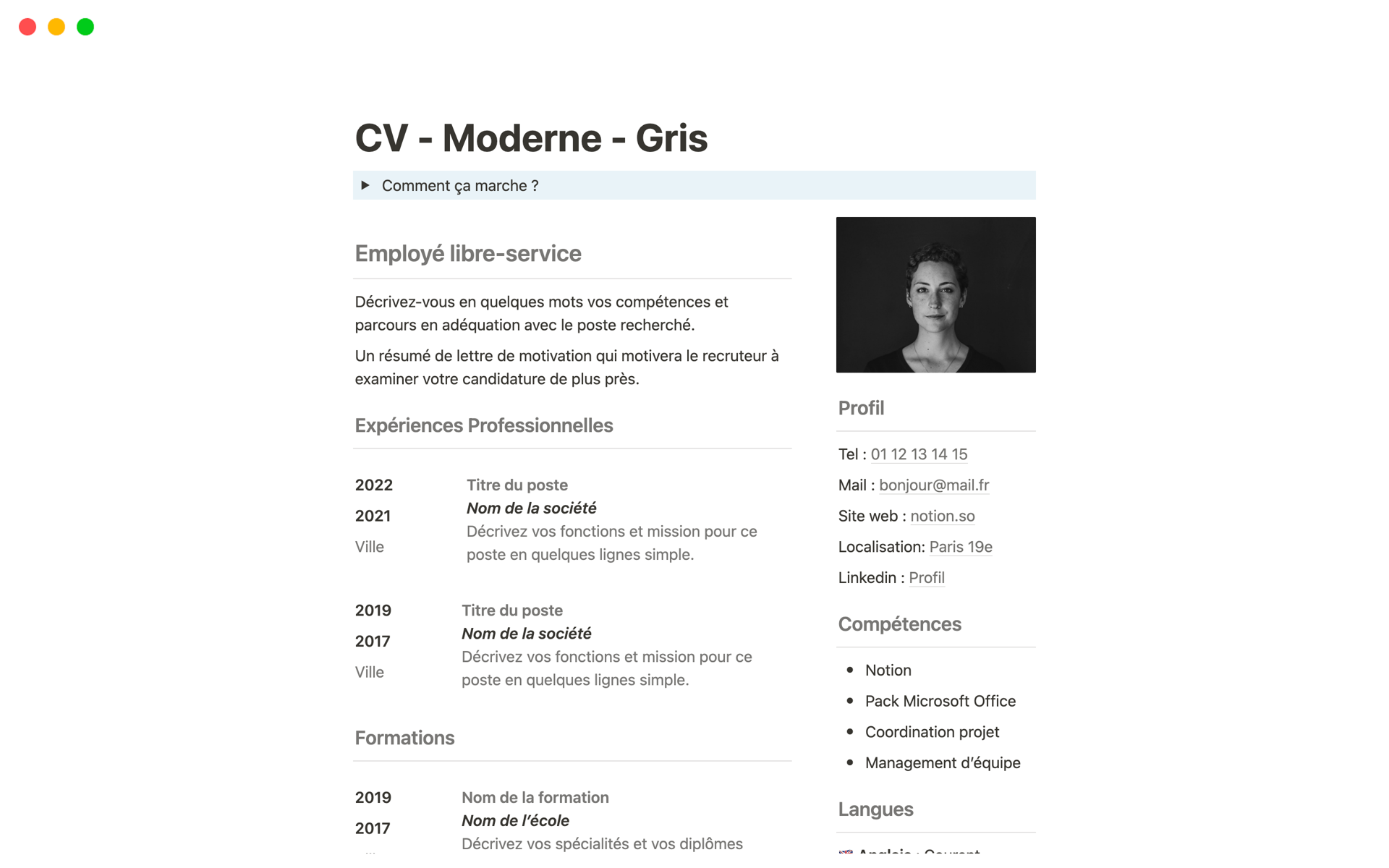 A template preview for CV - Moderne - Gris