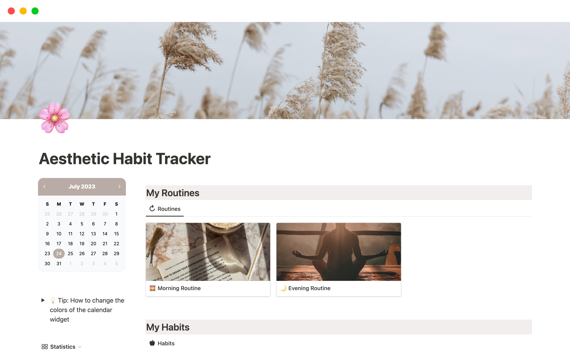 A template preview for Aesthetic Habit Tracker