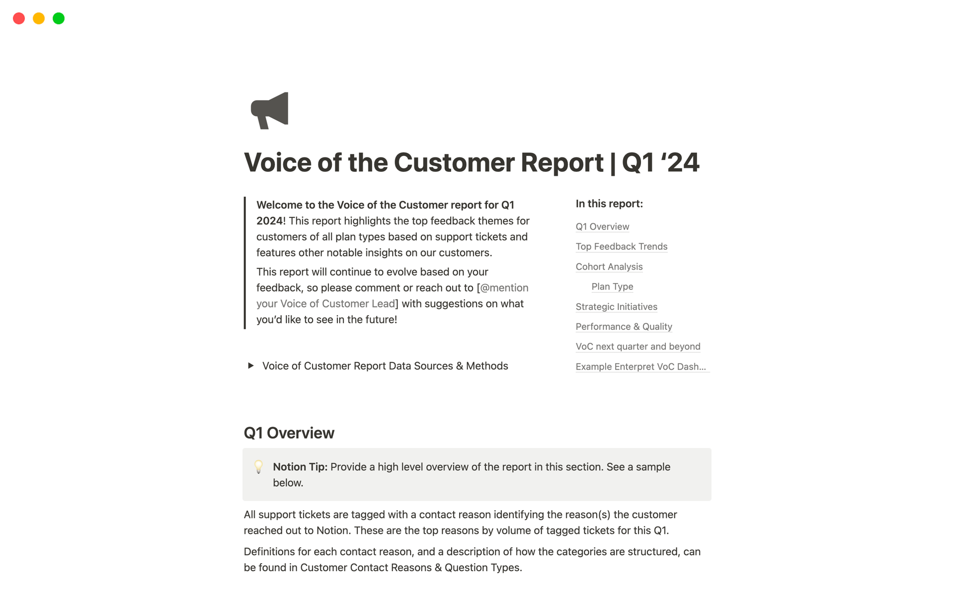 A template preview for Voice of Customer Report